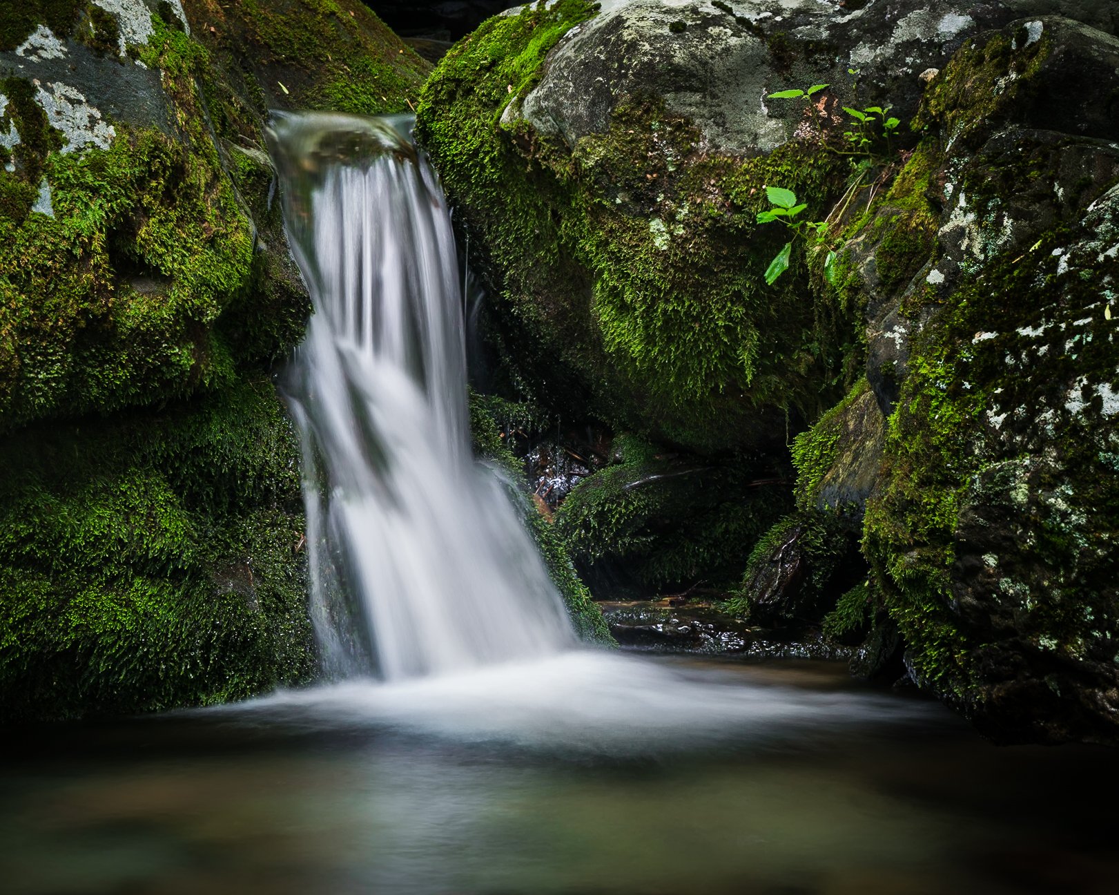 Website (Korich)-20.jpg