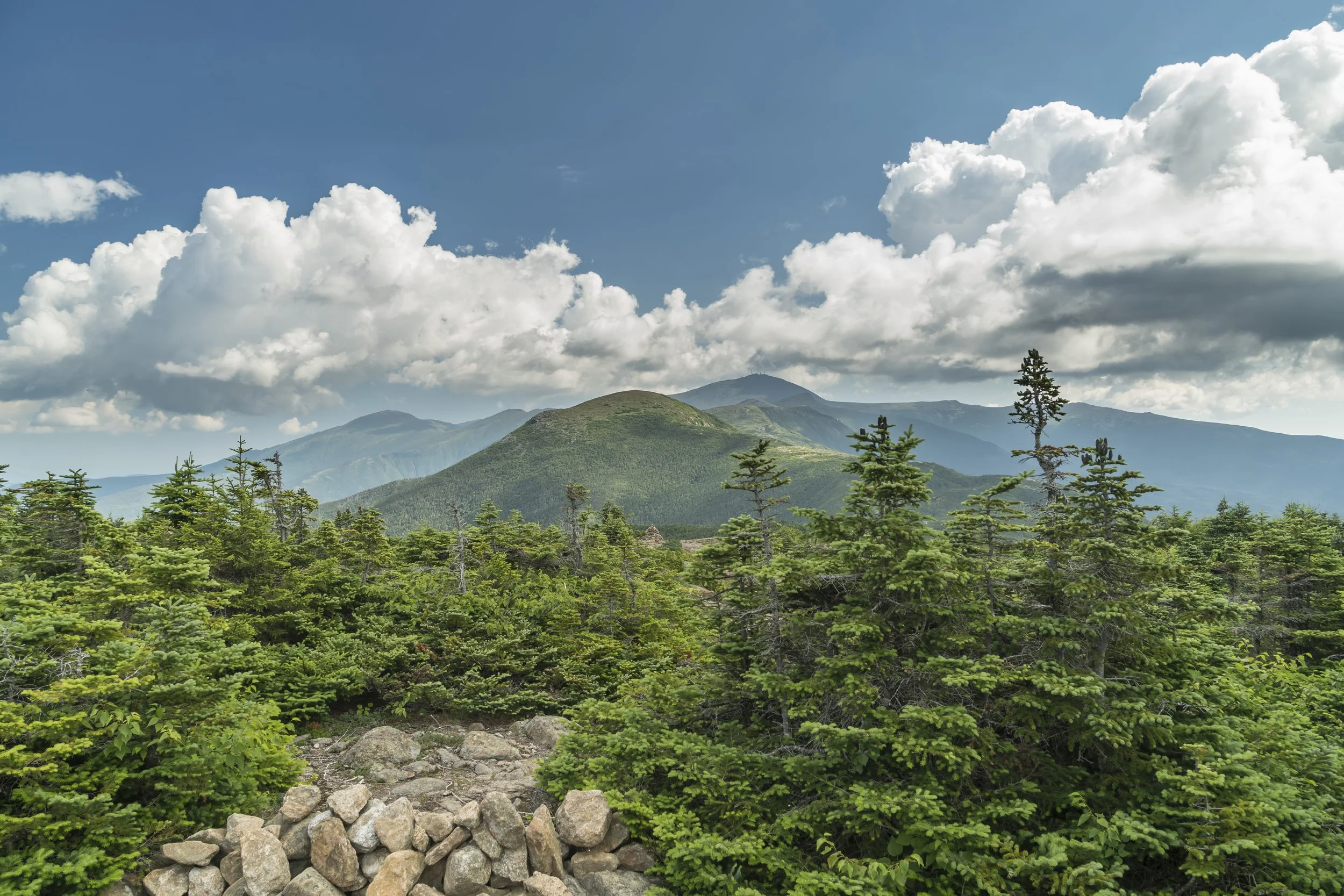 Family Images-15.jpg