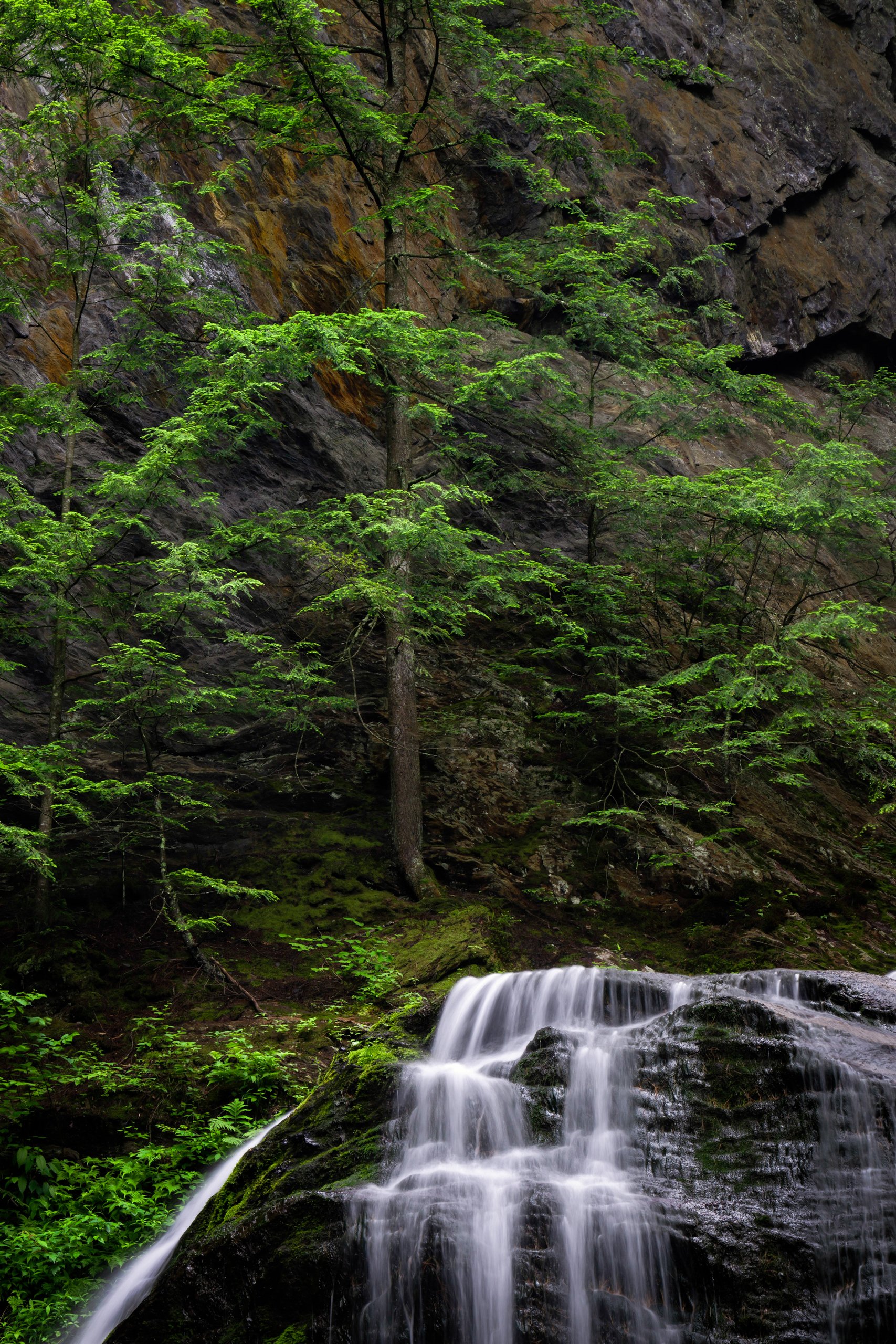 Website (Korich)-30.jpg