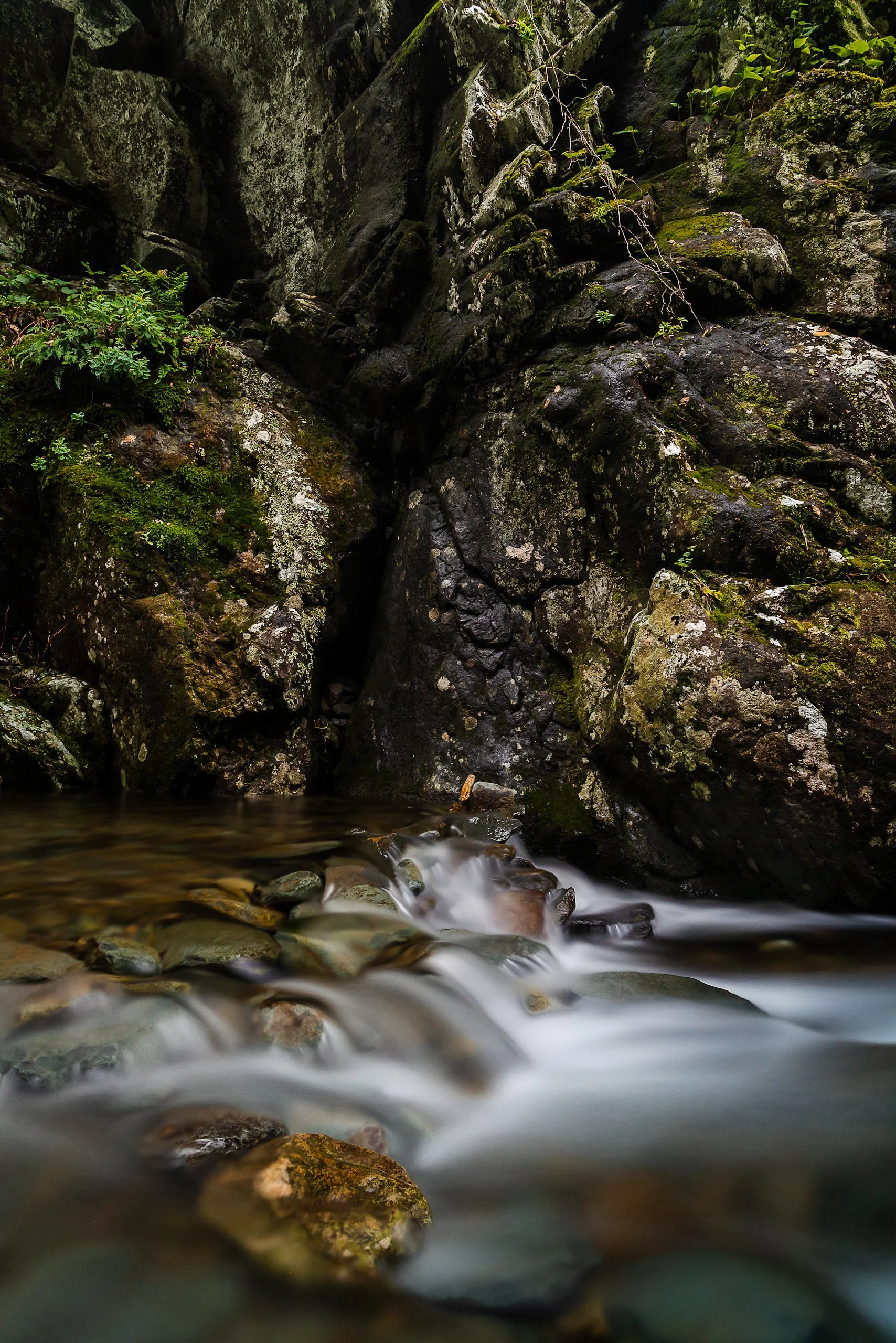 Website (Korich)-24.jpg