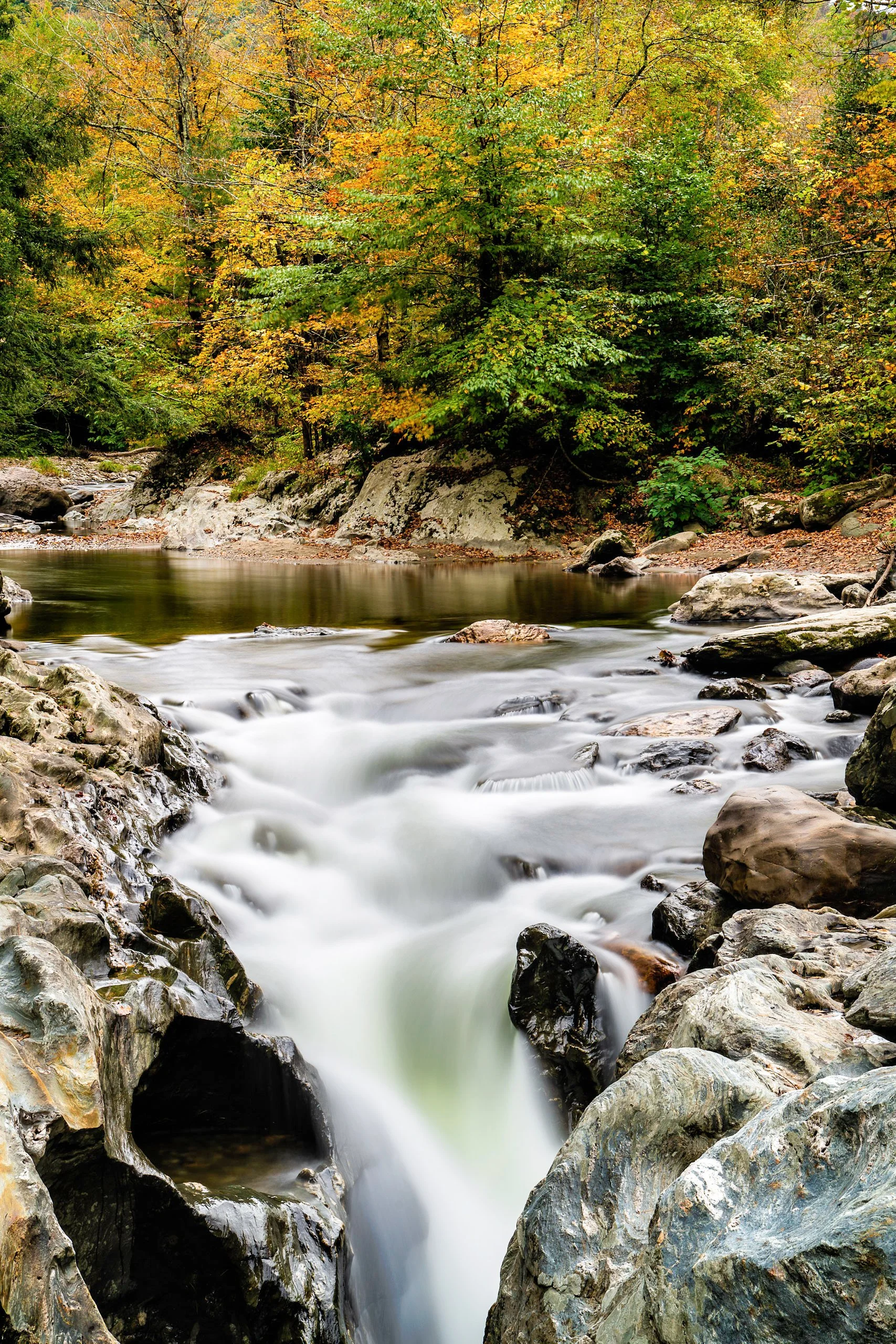 Website (Korich)-27.jpg