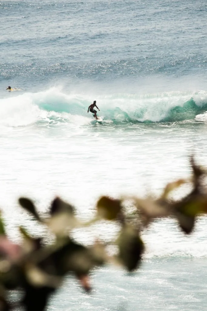 surfer in bali dropping into a wave