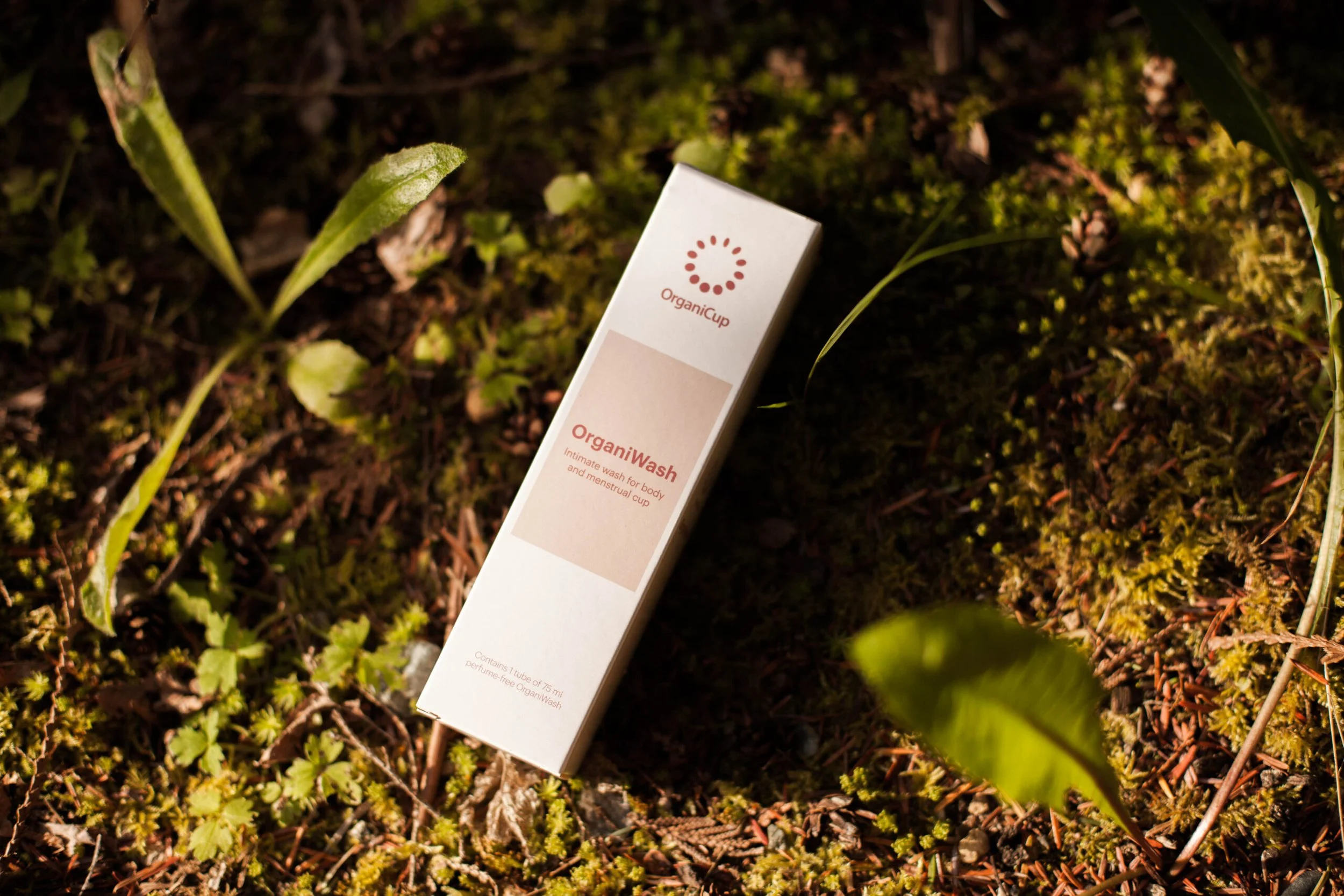 Consuming Less Over Recycling More