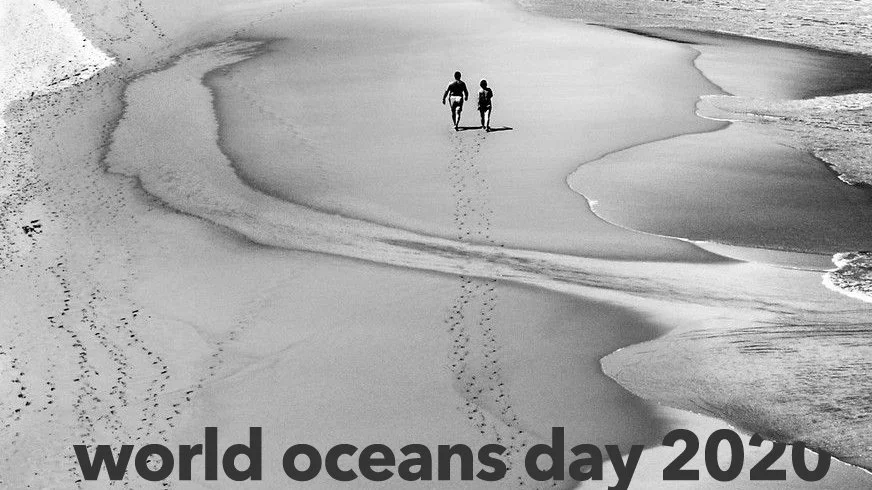 World Oceans Day 2020: June 8th (Bonus)