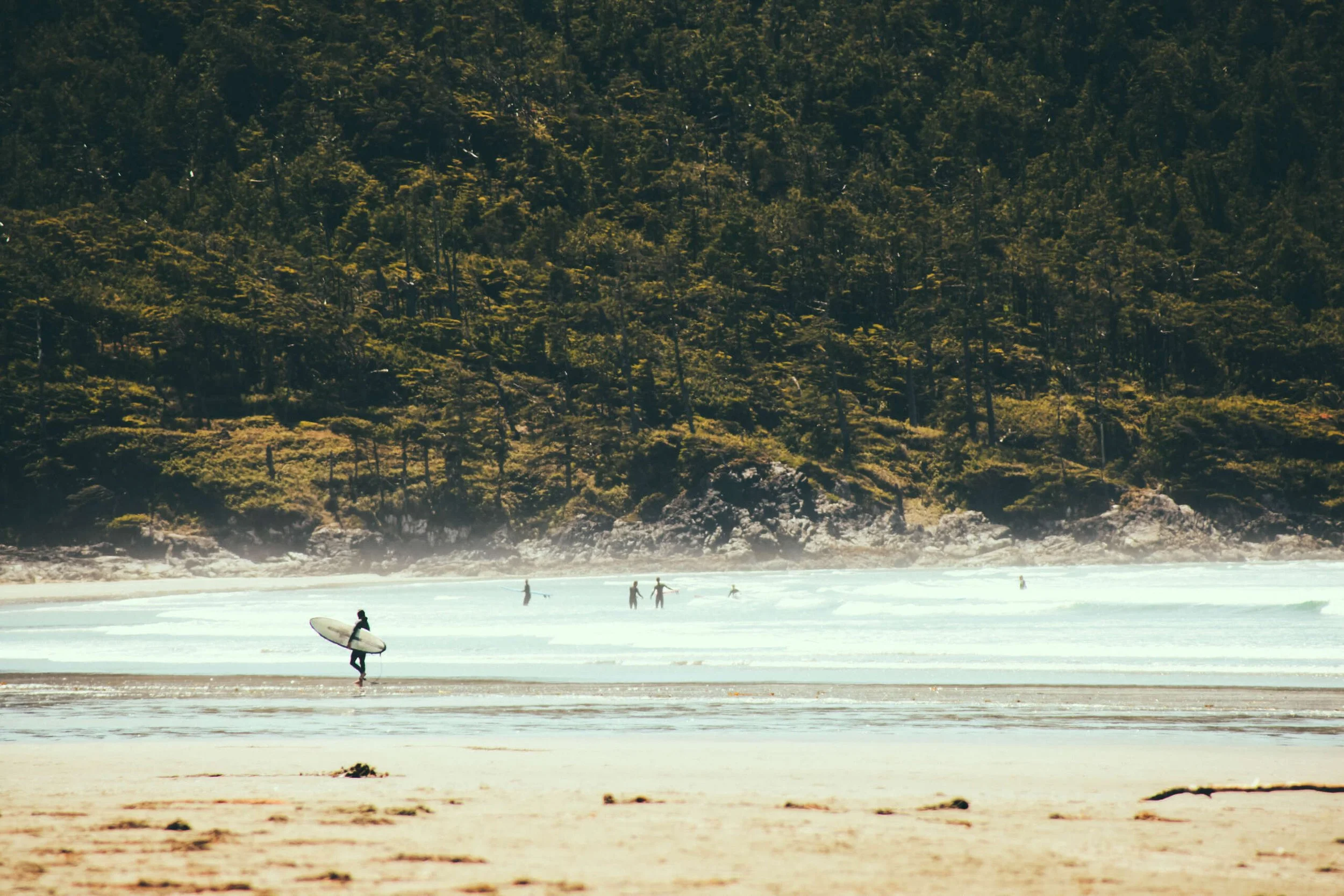 Still Alive: The Beauty Of Loving Life & Appreciating The Day