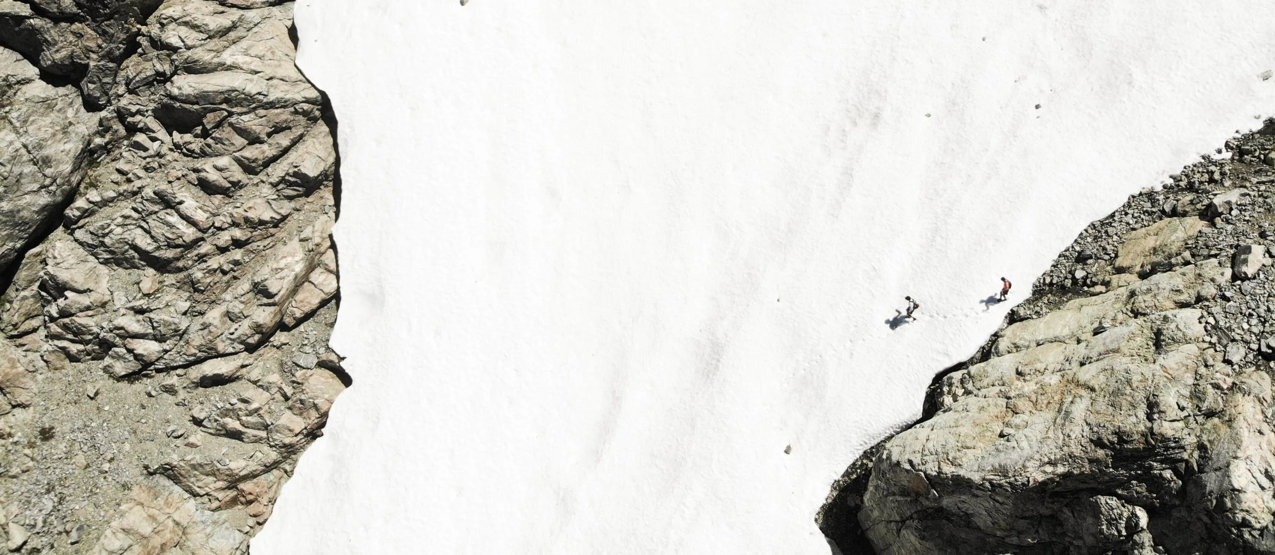 See What I See. ⎯ Alenka Mali