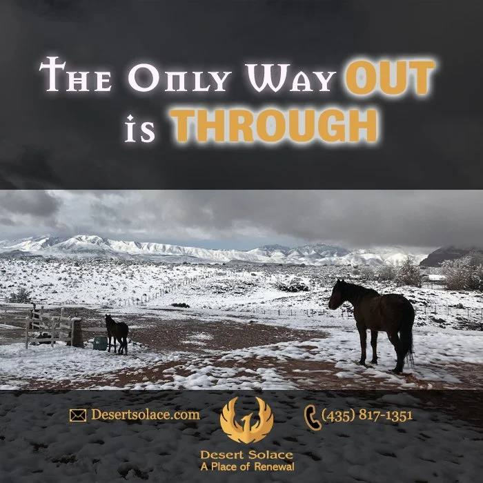 A snow-covered landscape with two horses standing on the ground. The sky is cloudy and mountains are in the background. Text on the image reads, 'The Only Way OUT is THROUGH'. Contact information and logo for Desert Solace, a place of renewal.