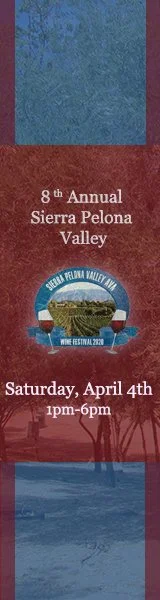 Wine Festival for web 160×600