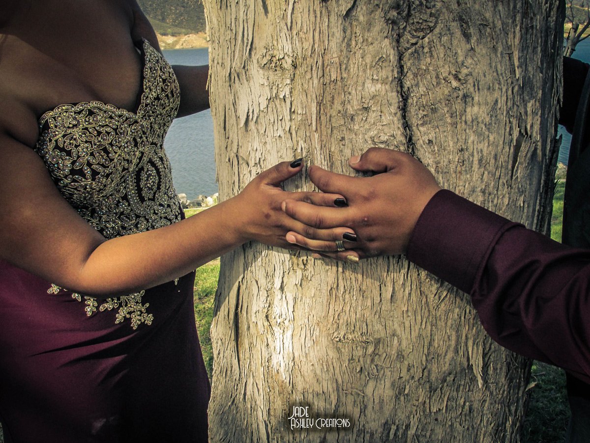 A couple's hands touching a tree trunk, with a body of water and outdoor scenery in the background.