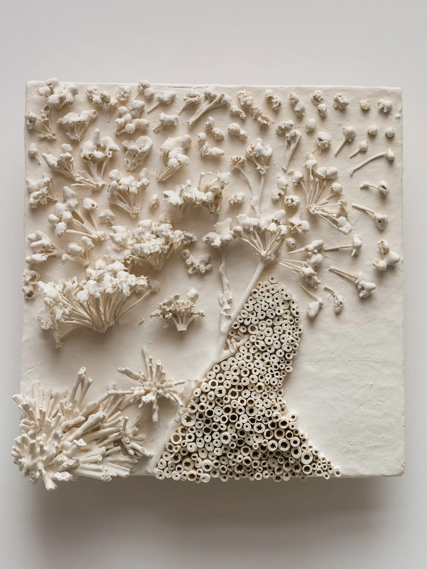 White textured artwork featuring dried flowers and tubes arranged in a pattern on a square canvas.