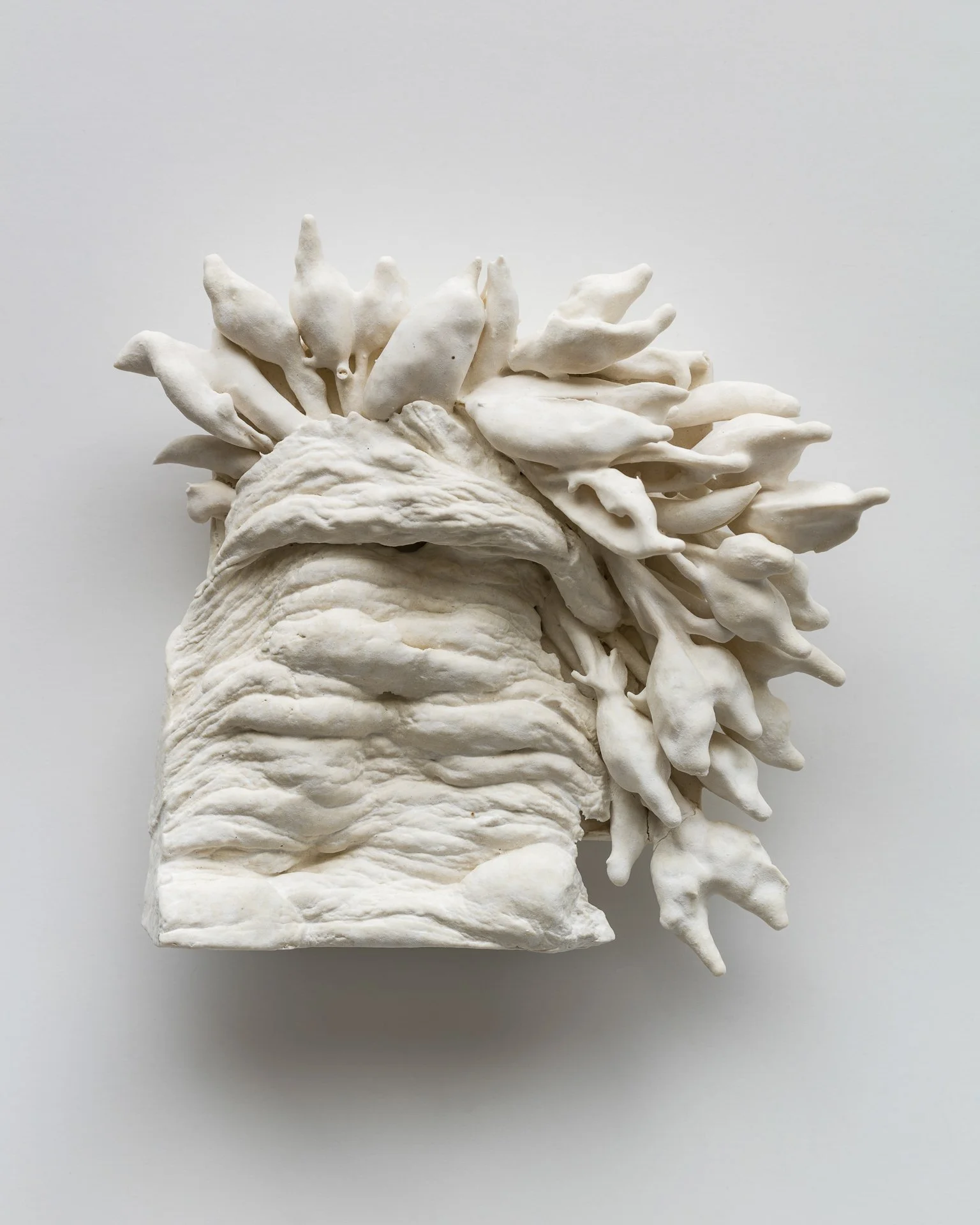 A white sculptural art piece resembling a stylized face with textured skin and an elaborate headdress or hair made of organic, finger-like shapes.