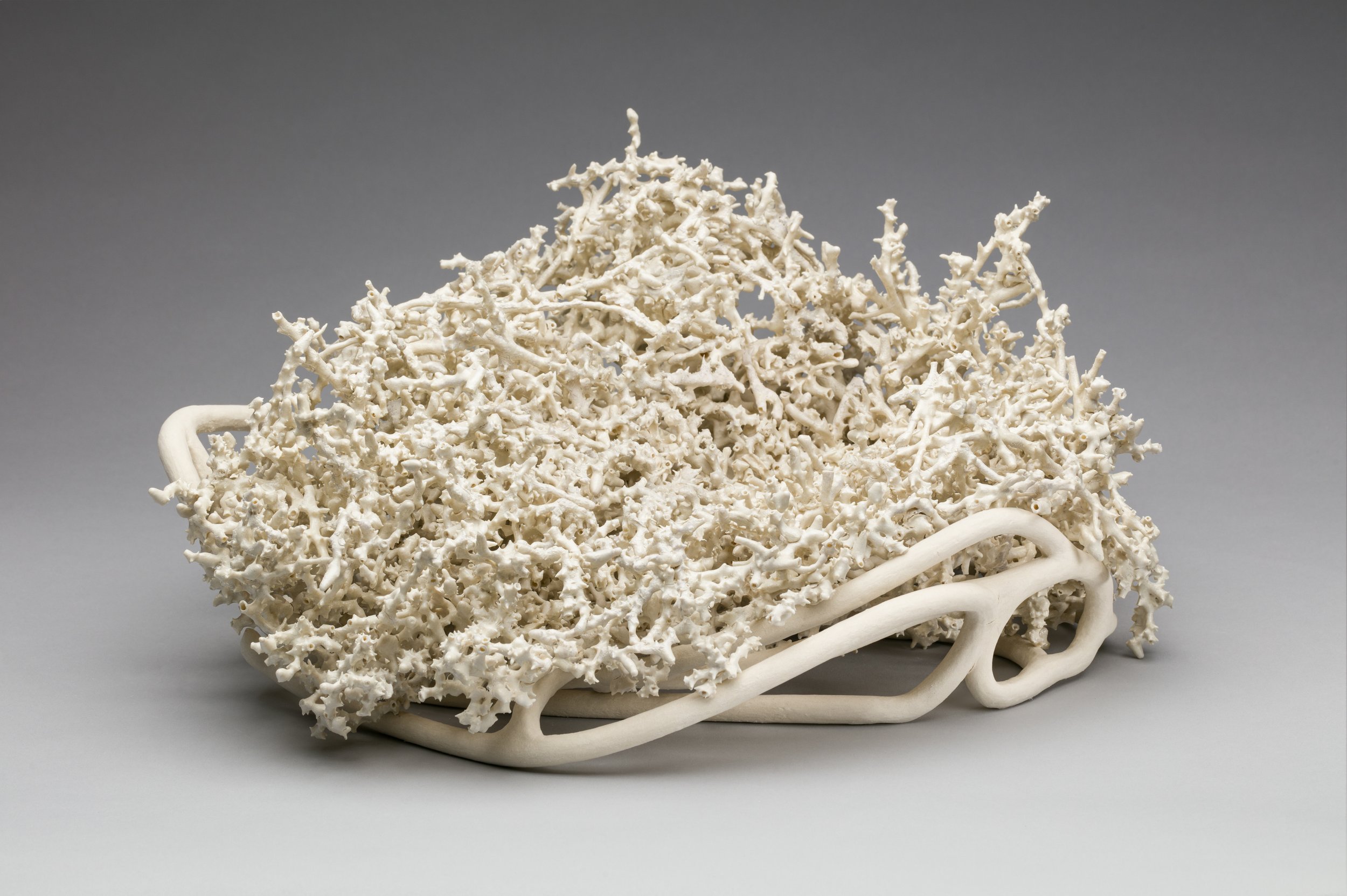 A fired porcelain paper clay sculpture depicting decorative white coral placed on white ceramic loose coil with a gray background.