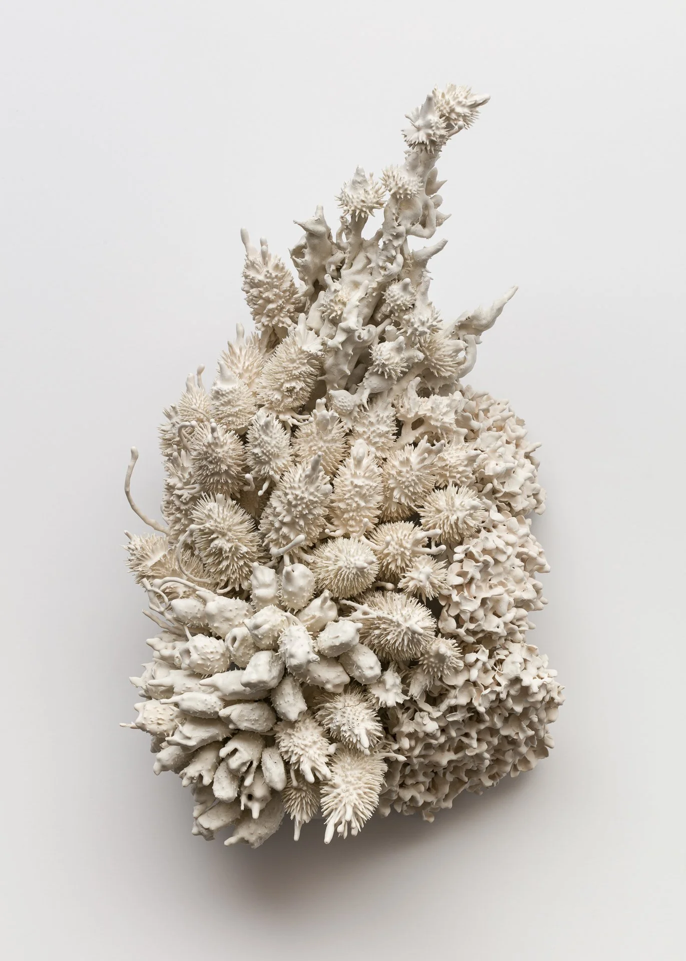 A large, white, coral-like sculpture made of fired porcelain clay with intricate textures and branching structures on a plain white background.