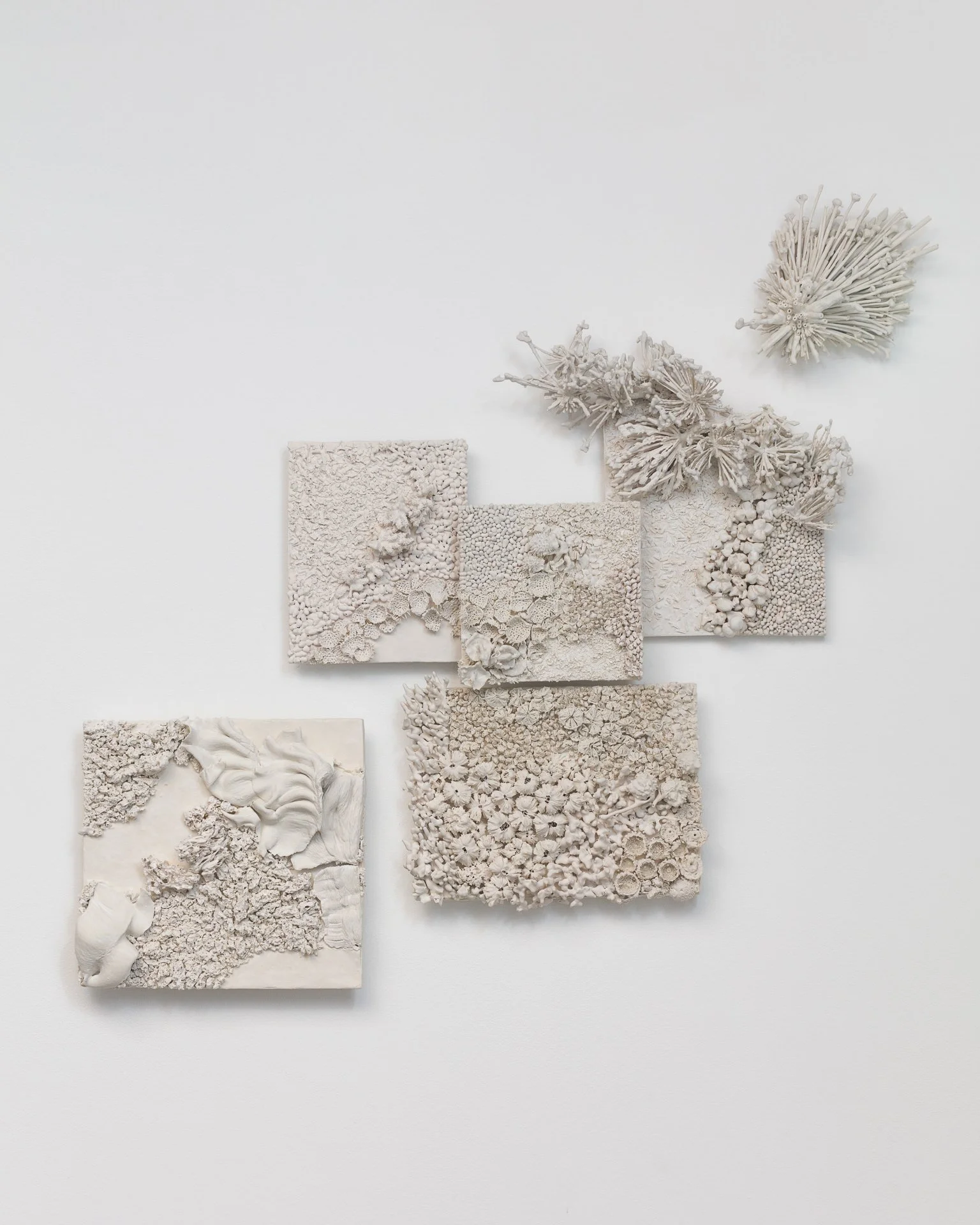 Collection of six textured, off-white plaster or ceramic tiles arranged on a white background, with one floral or botanical sculpture or model.