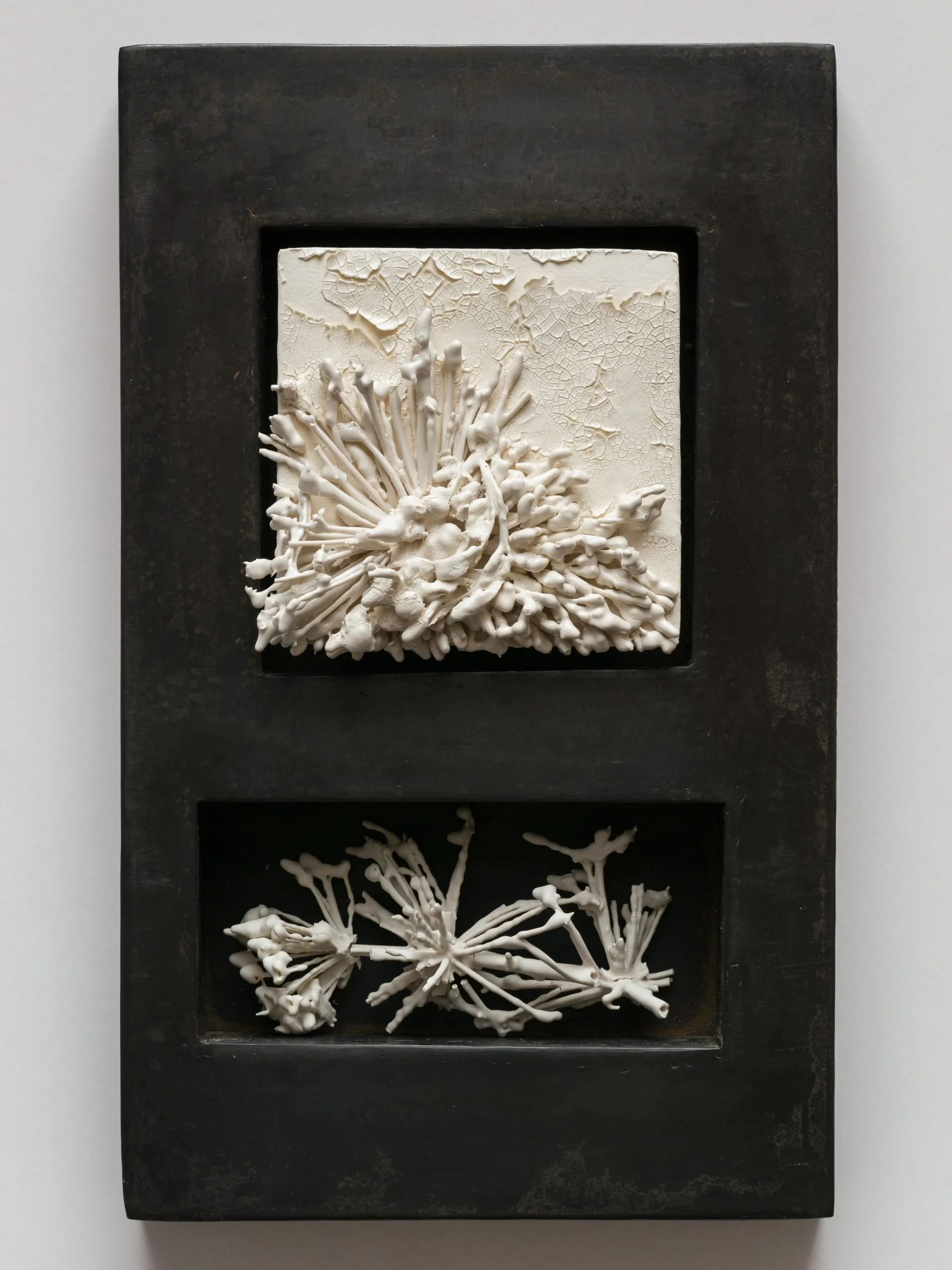 Mixed media artwork featuring textured white coral-like sculptures in two black shadow box frames, one on top of the other, mounted on a white wall.