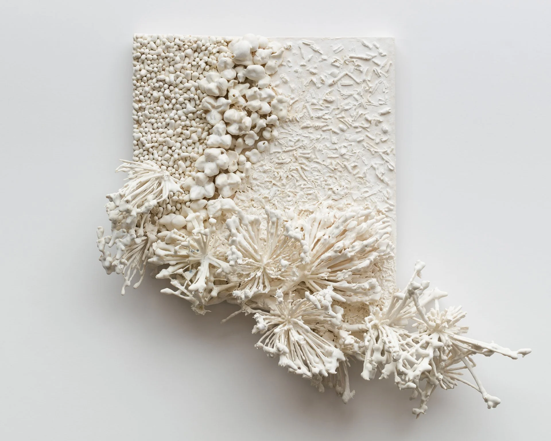 Arrangement of white coral and textured materials on a white background