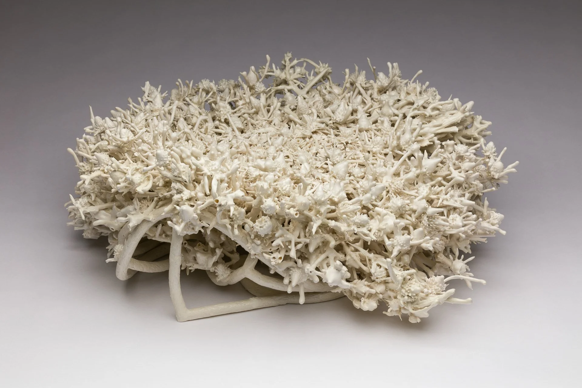 A fired porcelain paper clay sculpture of a detailed white coral-like plant piece with star-shaped and branch-like structures, mounted on a white stand against a plain gray background.