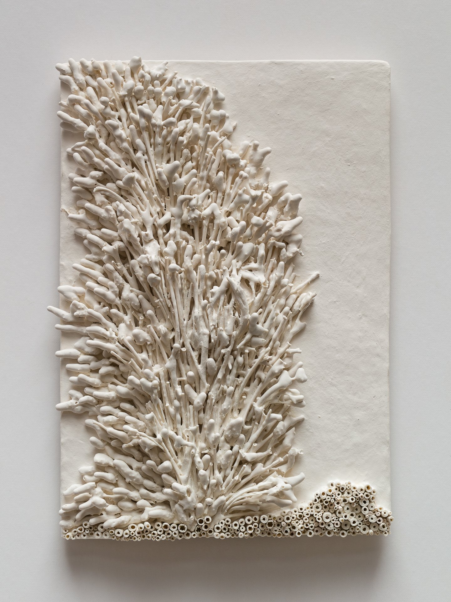 A white textured artwork featuring coral-like structures on a rectangular canvas.