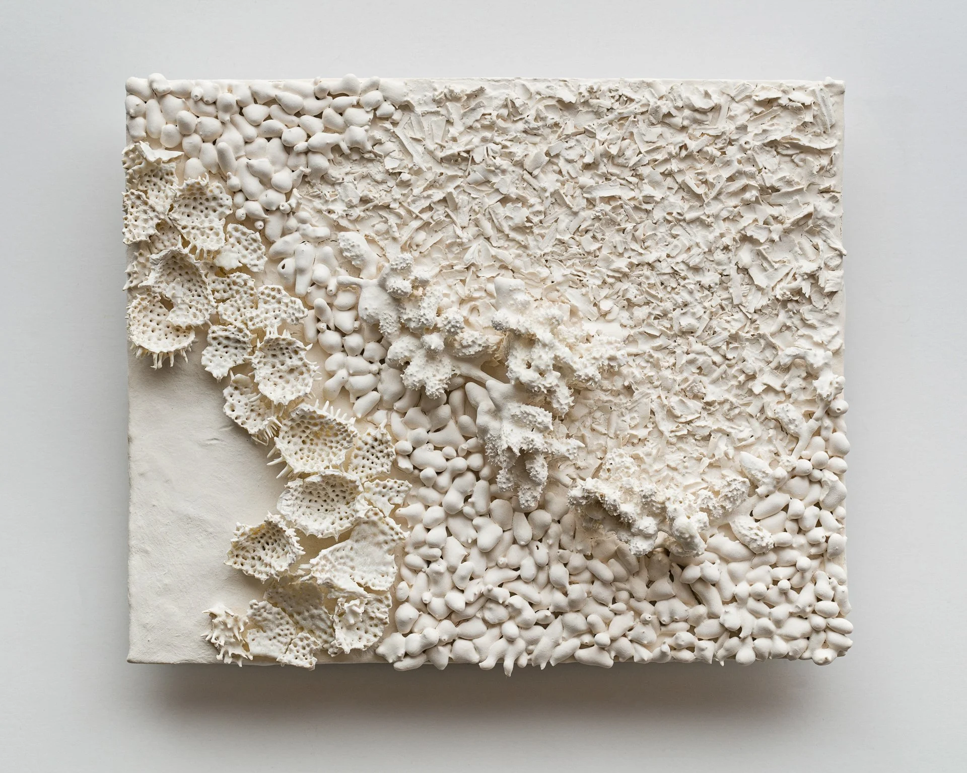 A square art piece with textured white materials resembling coral, shells, and stones arranged on a white background.