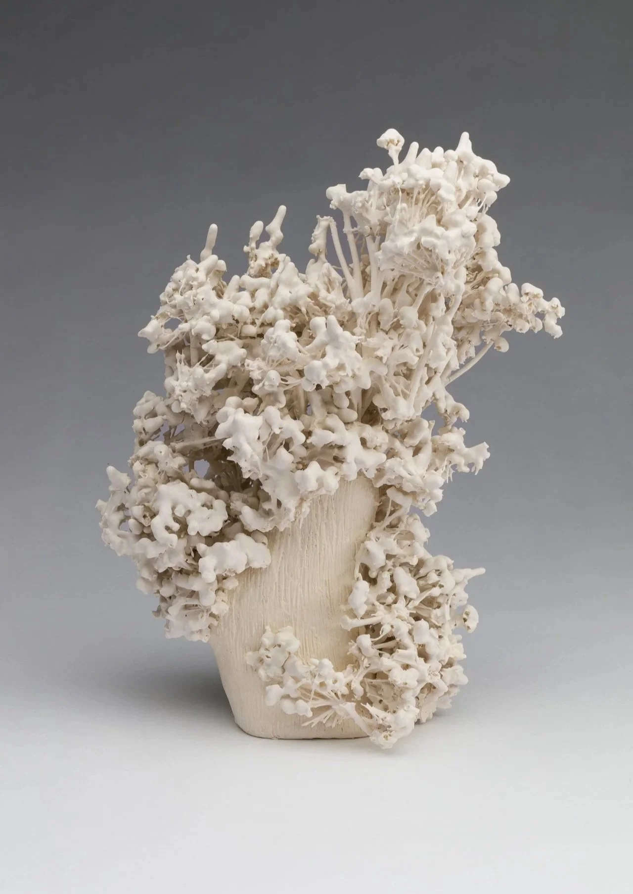 White coral with branching structures on a white base, against a gray background made from porcelain dipped allium on a handbuilt form.