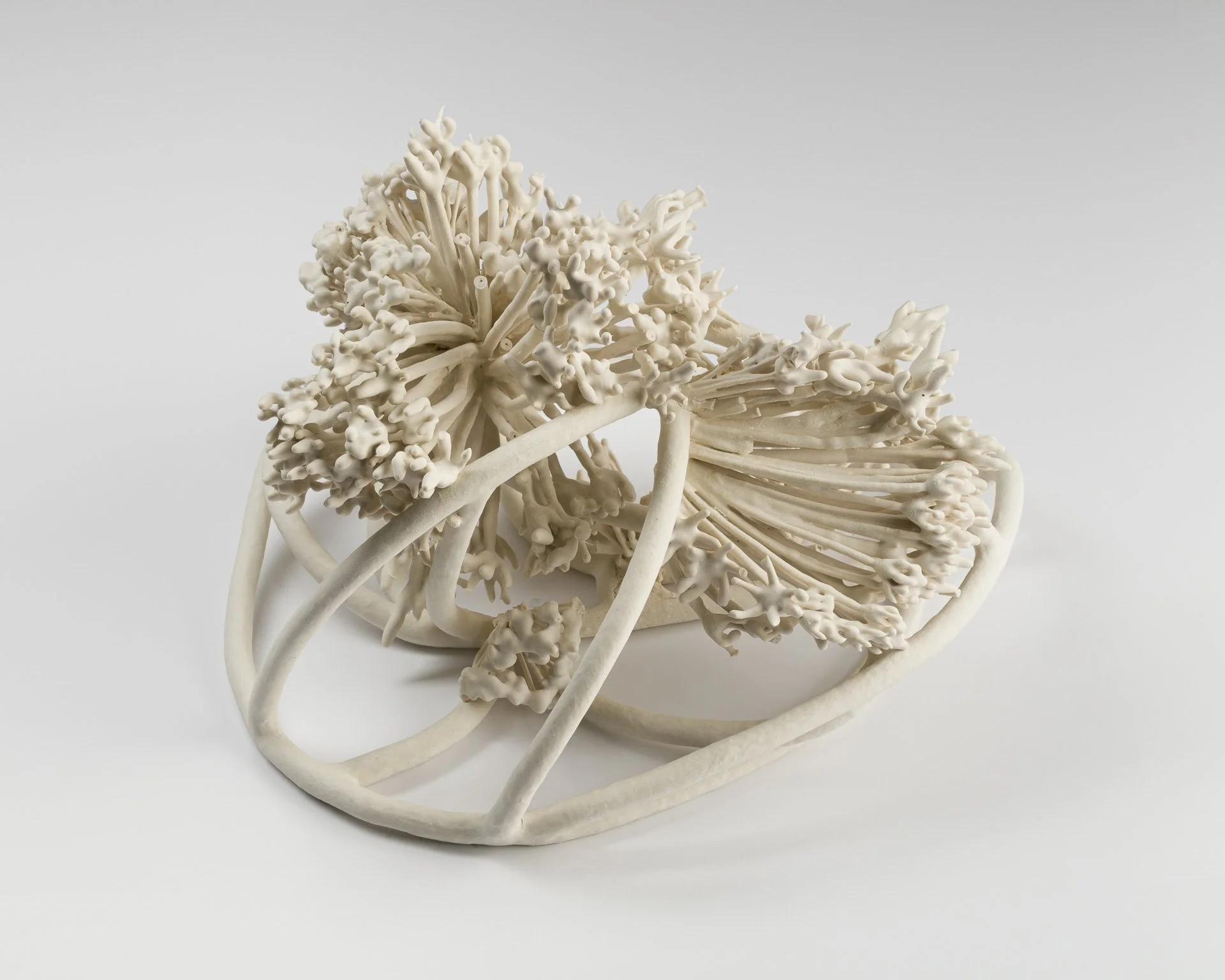 Allium Splay

10 x 13 x 12 in