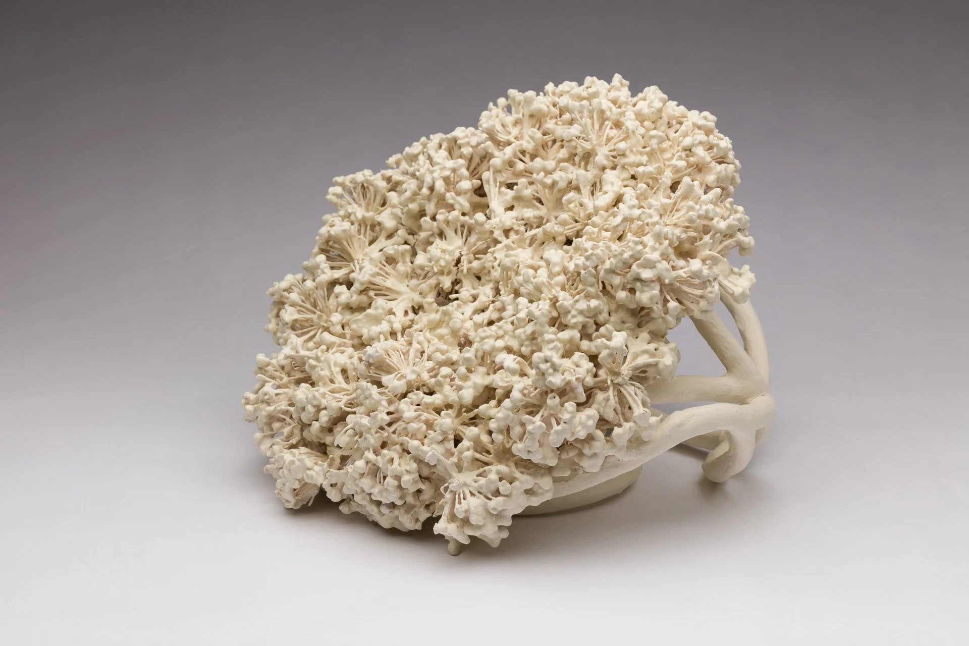 Sideways Slide (large allium nest on entanglement)
8 x 12 x 11 in