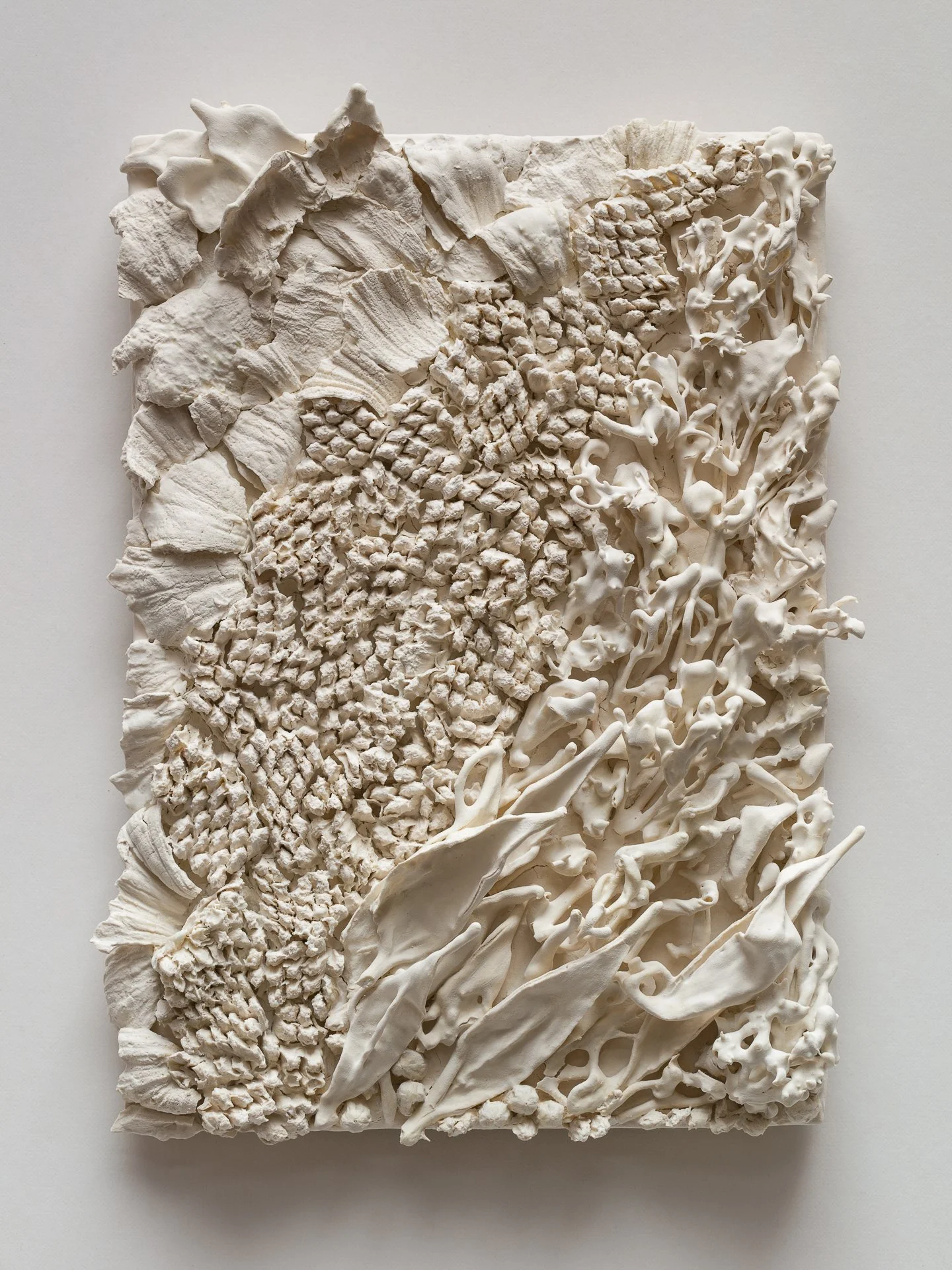 A rectangular piece of art featuring various white textured objects resembling shells, coral, and other natural formations arranged in a layered composition.