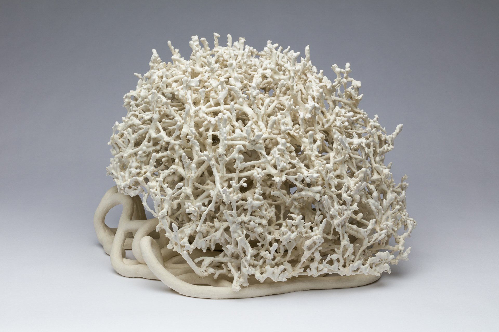 Tumbleweed
12 x 13 x 13 in