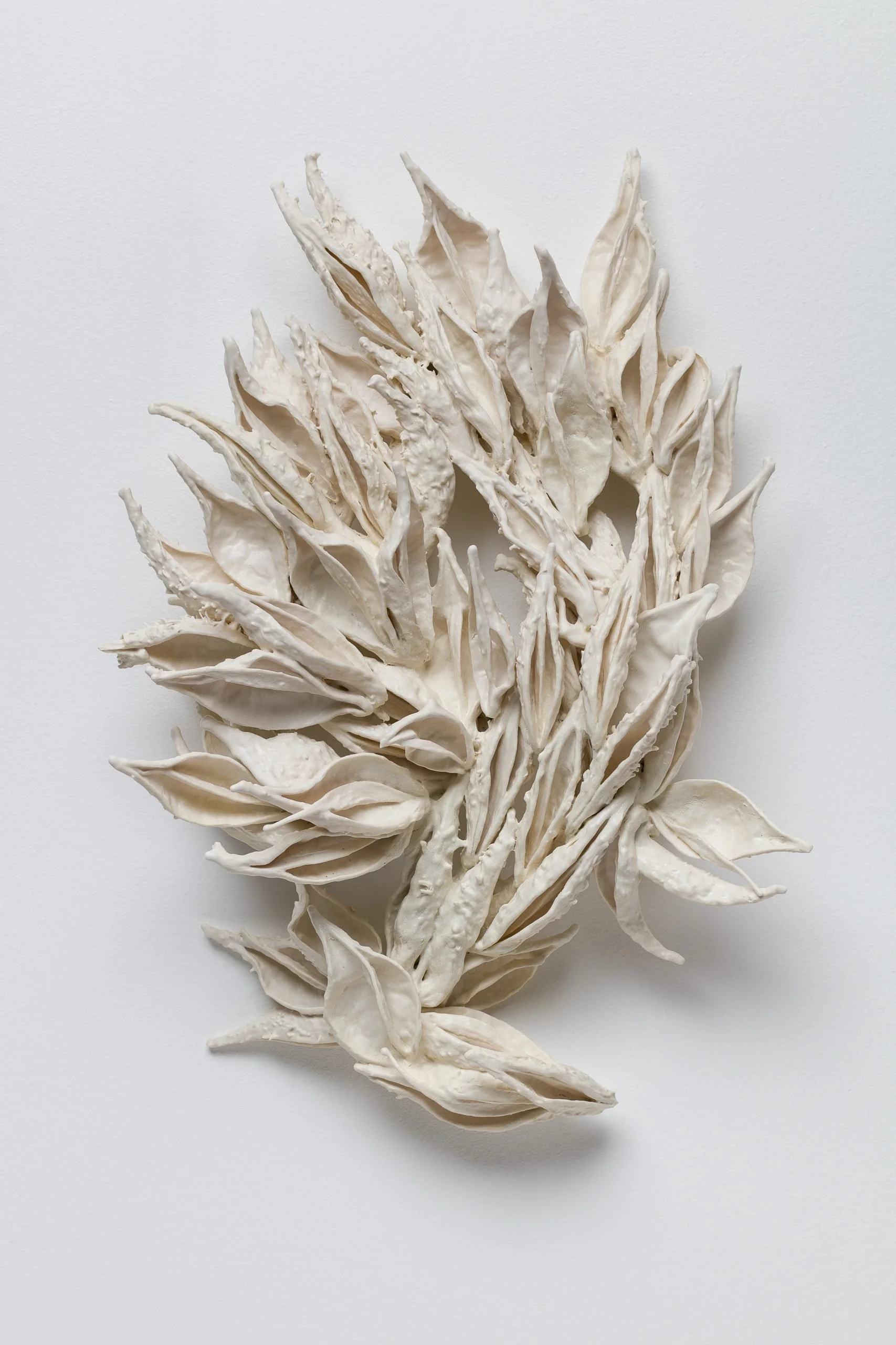 Milkweed Wave
16 x 10 x 2 in