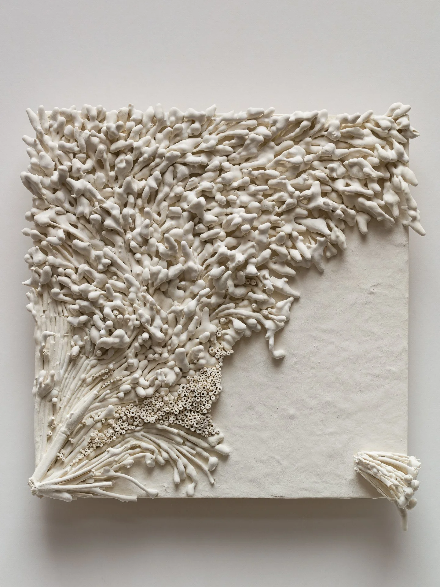 White textured square artwork with intricate coral-like structure and small detail elements, mounted on a white background.
