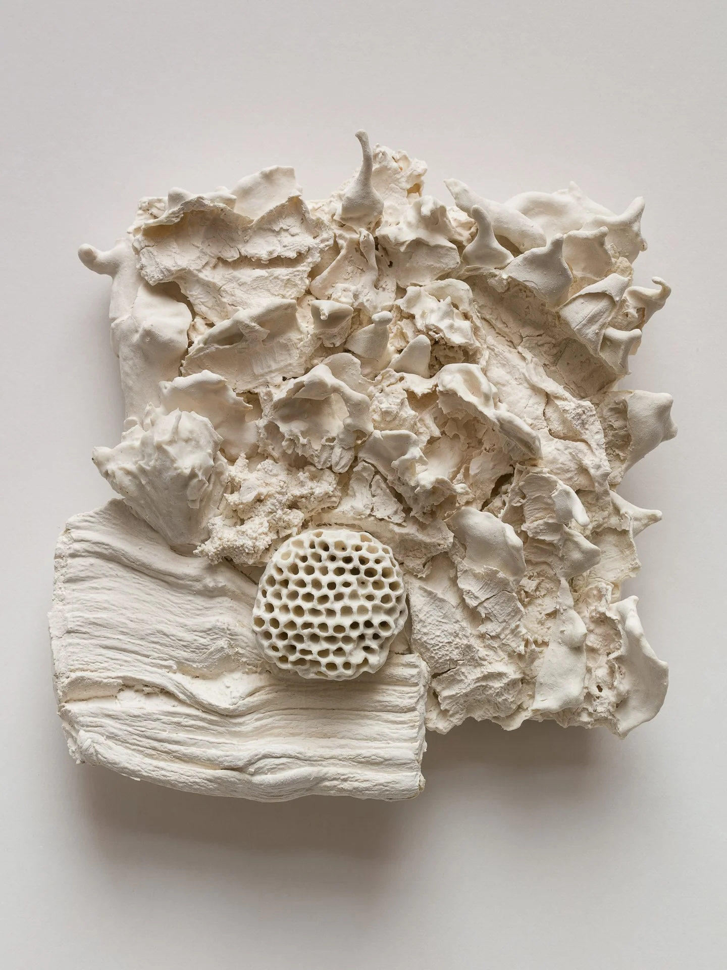 Arrangement of white textured objects, including coral-like formations and a honeycomb-shaped piece, on a white background.