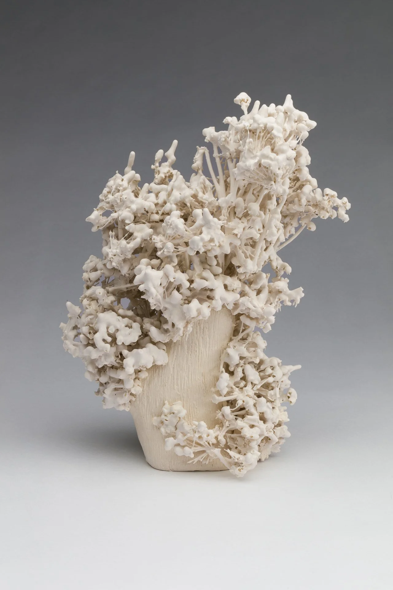 Allium Tree
10 x 6 x 6 in
