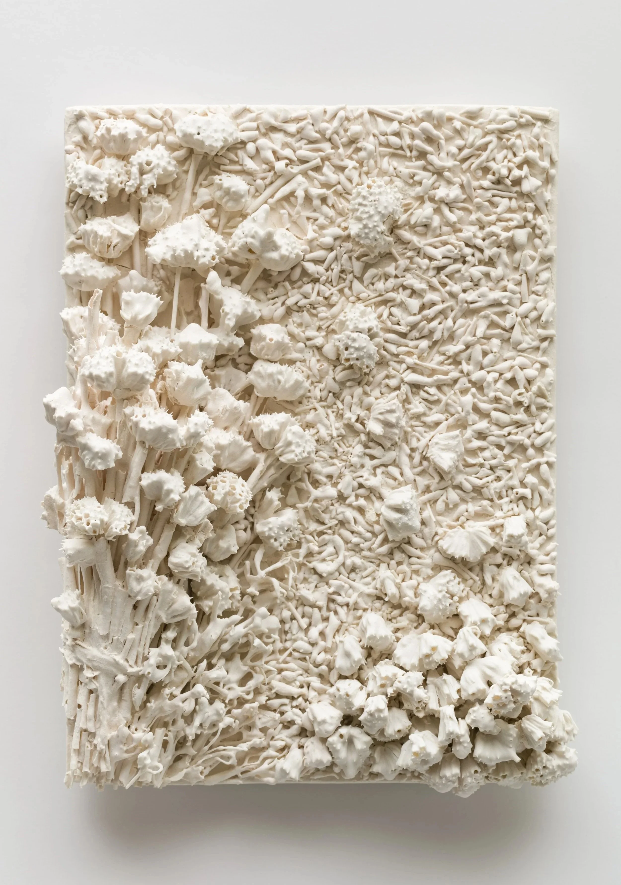 Wall hanging rectangular sculpture covered with white coral-like textures. Made on a porcelain slab with Horehound, a plant, dipped in clay slip in layers and other plant parts.
