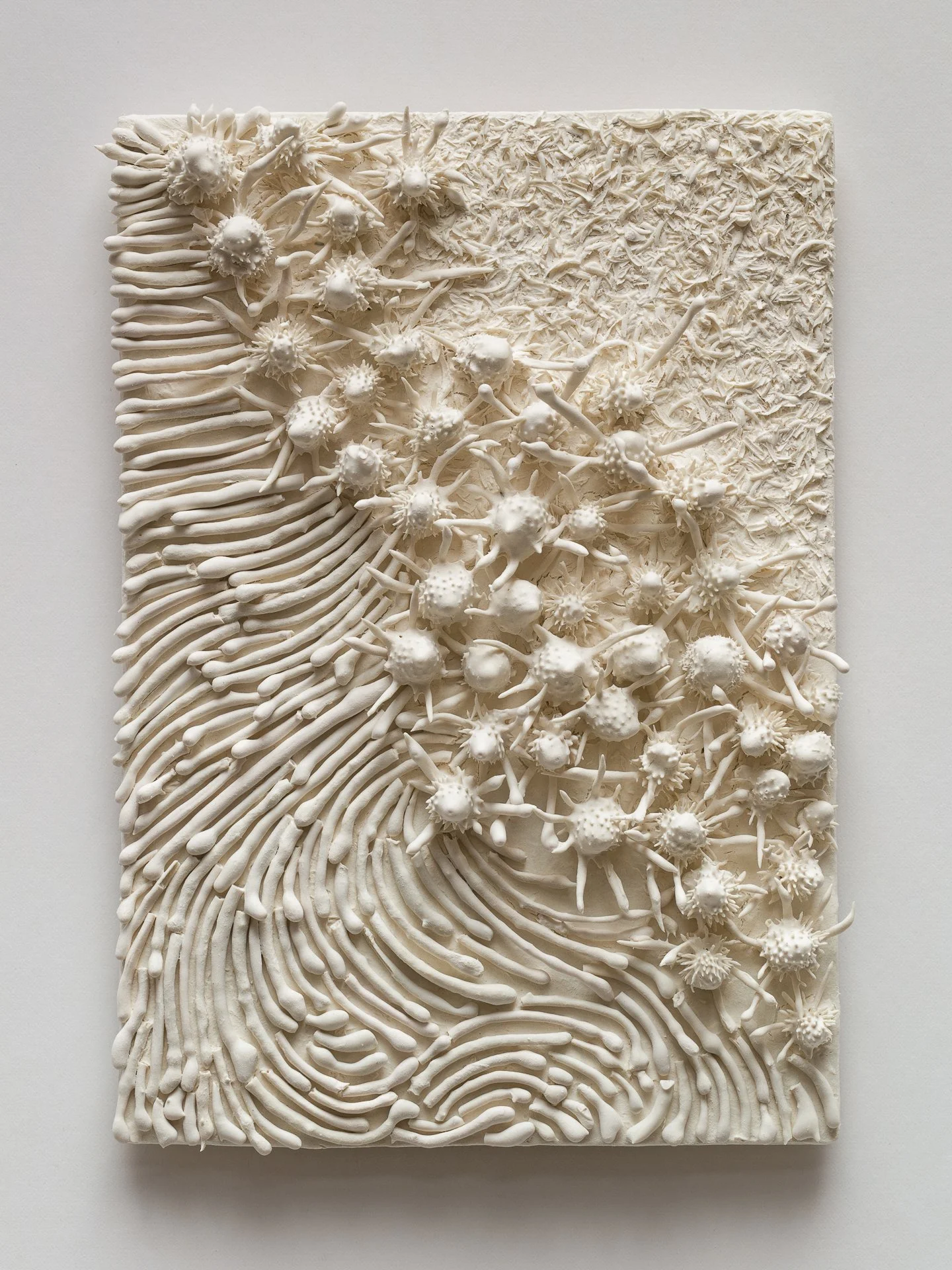 A textured off-white surface with intricate 3D floral and abstract patterns, including curved lines and spiky flower-like shapes.