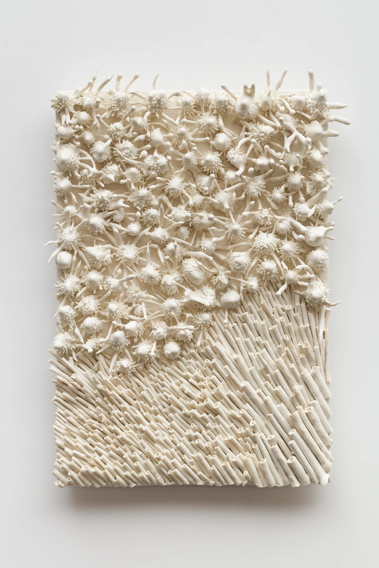 A rectangular sculpture with intricate white textured designs, featuring floral and linear patterns on a white background.