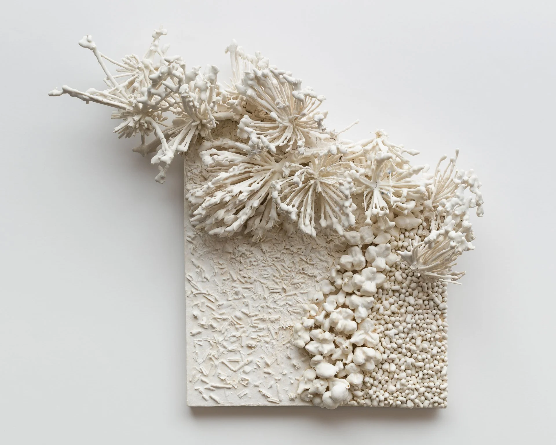 Abstract white sculpture with textured base and organic shapes resembling coral or plant structures, arranged in a rectangular composition.