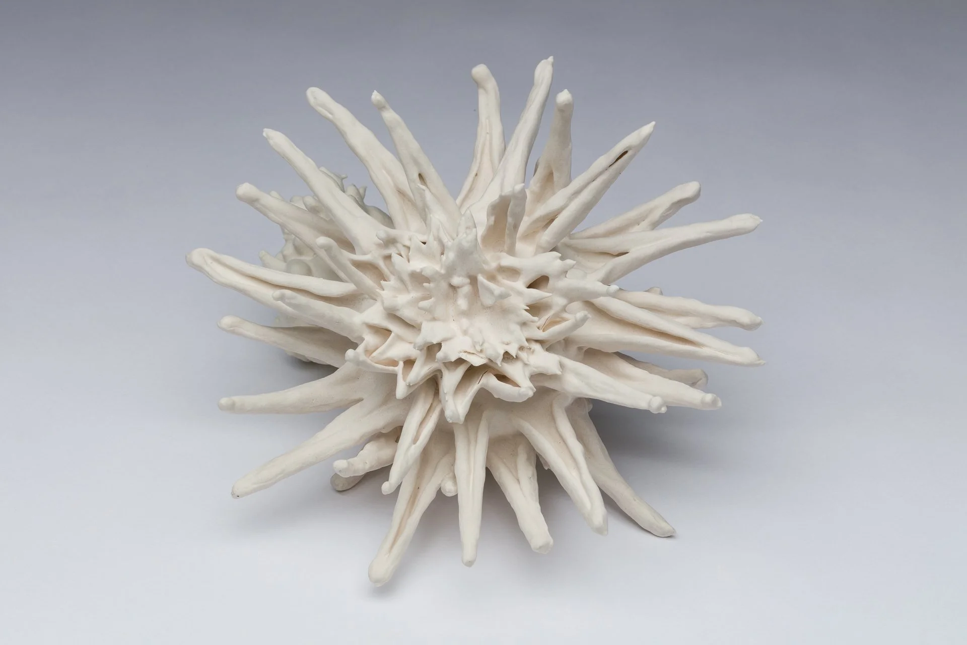 A fired porcelain paper clay sculpture of a white, spiked seashell with multiple elongated pointed ridges radiating outward, set against a plain light gray background.