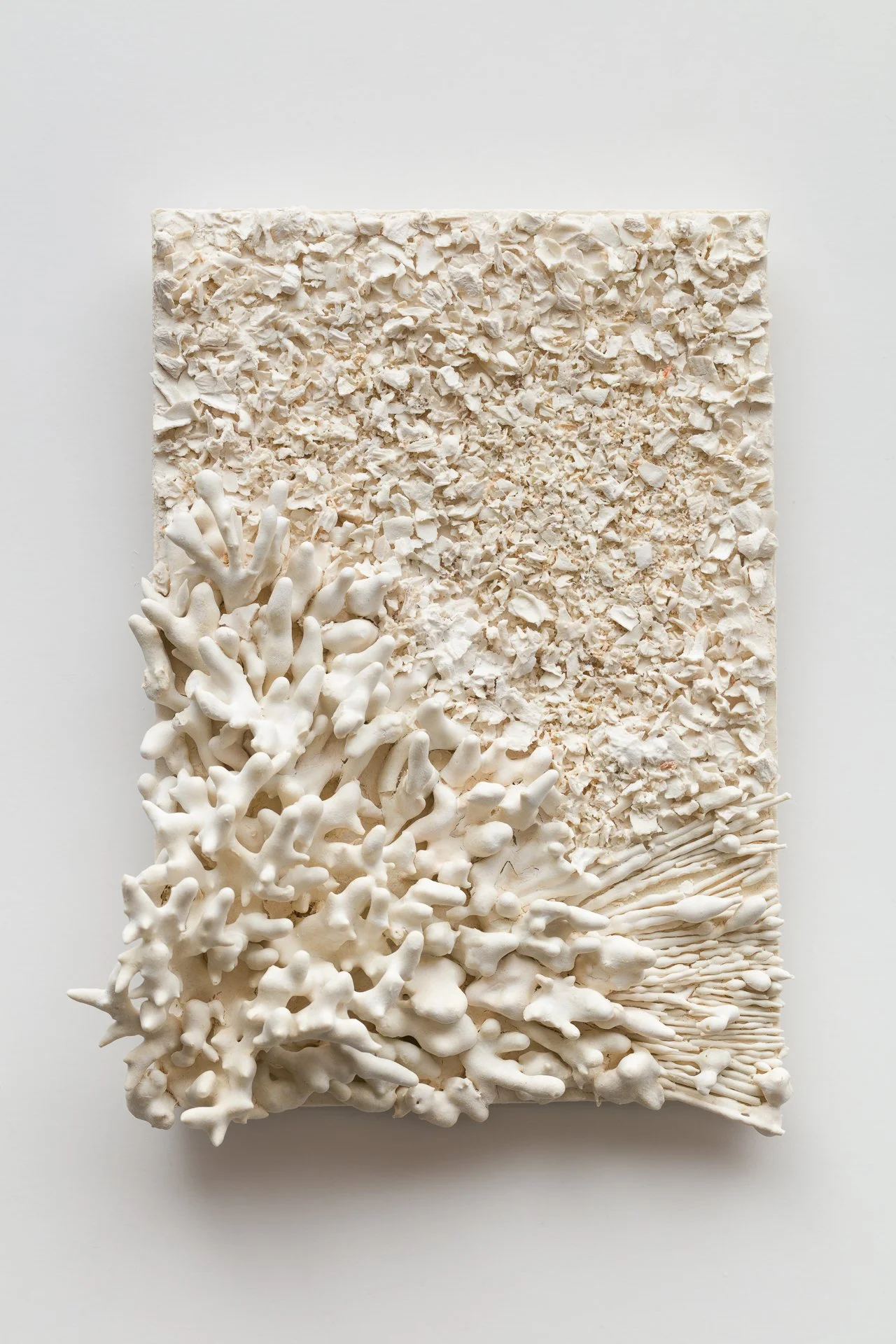 Art piece featuring abstract textured white surface with coral-like structures in the lower left corner.