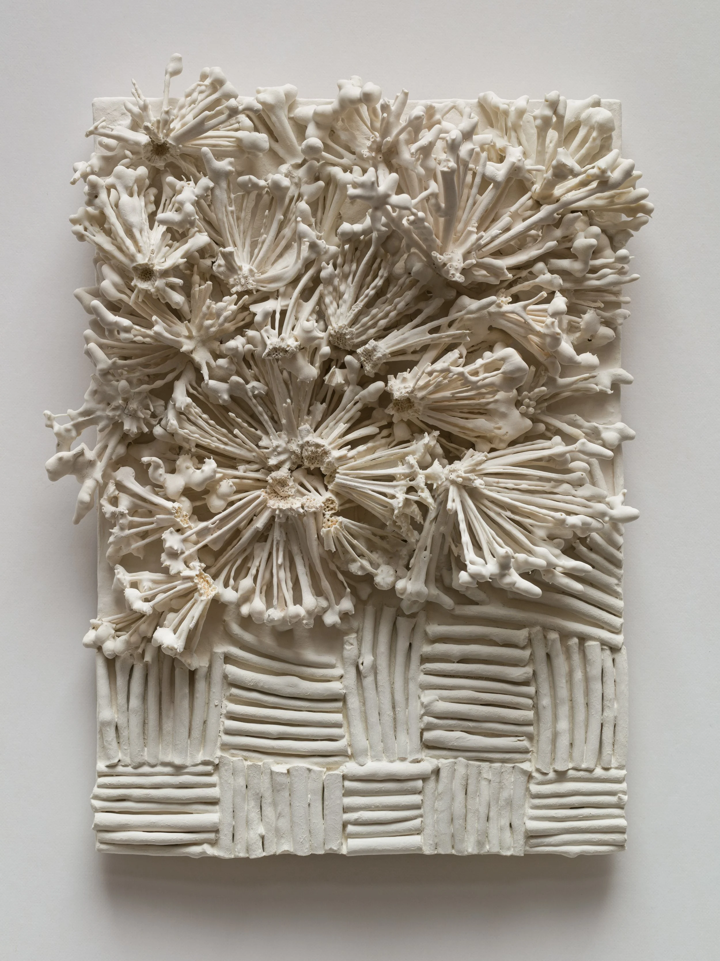 Allium Basket
10.5 x 7.5 x 3 in