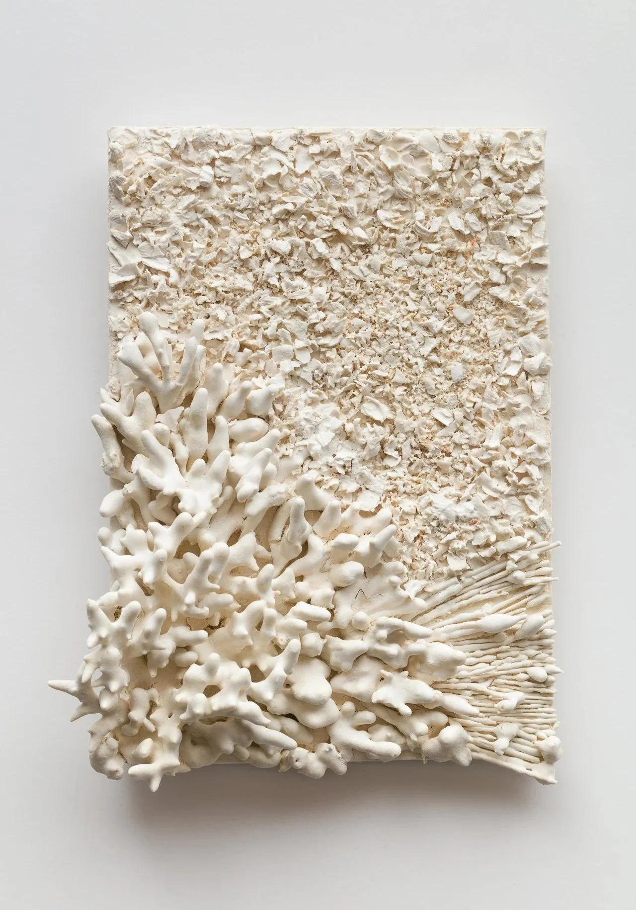 Wall hanging rectangular white textured art piece with coral-like 3D elements on the lower left corner and a rough, flaky surface on the rest of the piece, set on a white background. Made on a paper clay porcelain slab with plants dipped in slip.