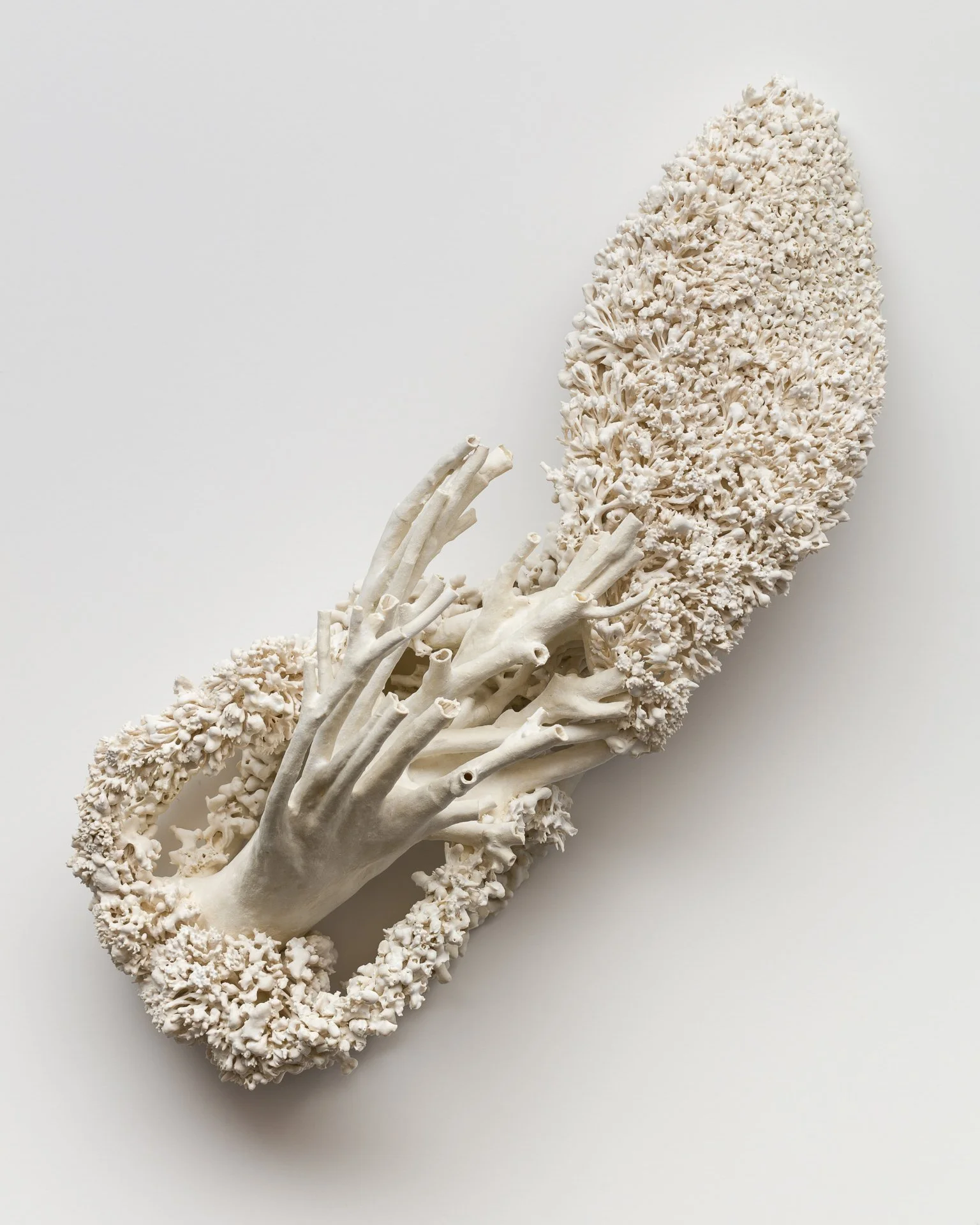 A white coral sculpture resembling a hand, surrounded by coral branches, placed on a plain white background.