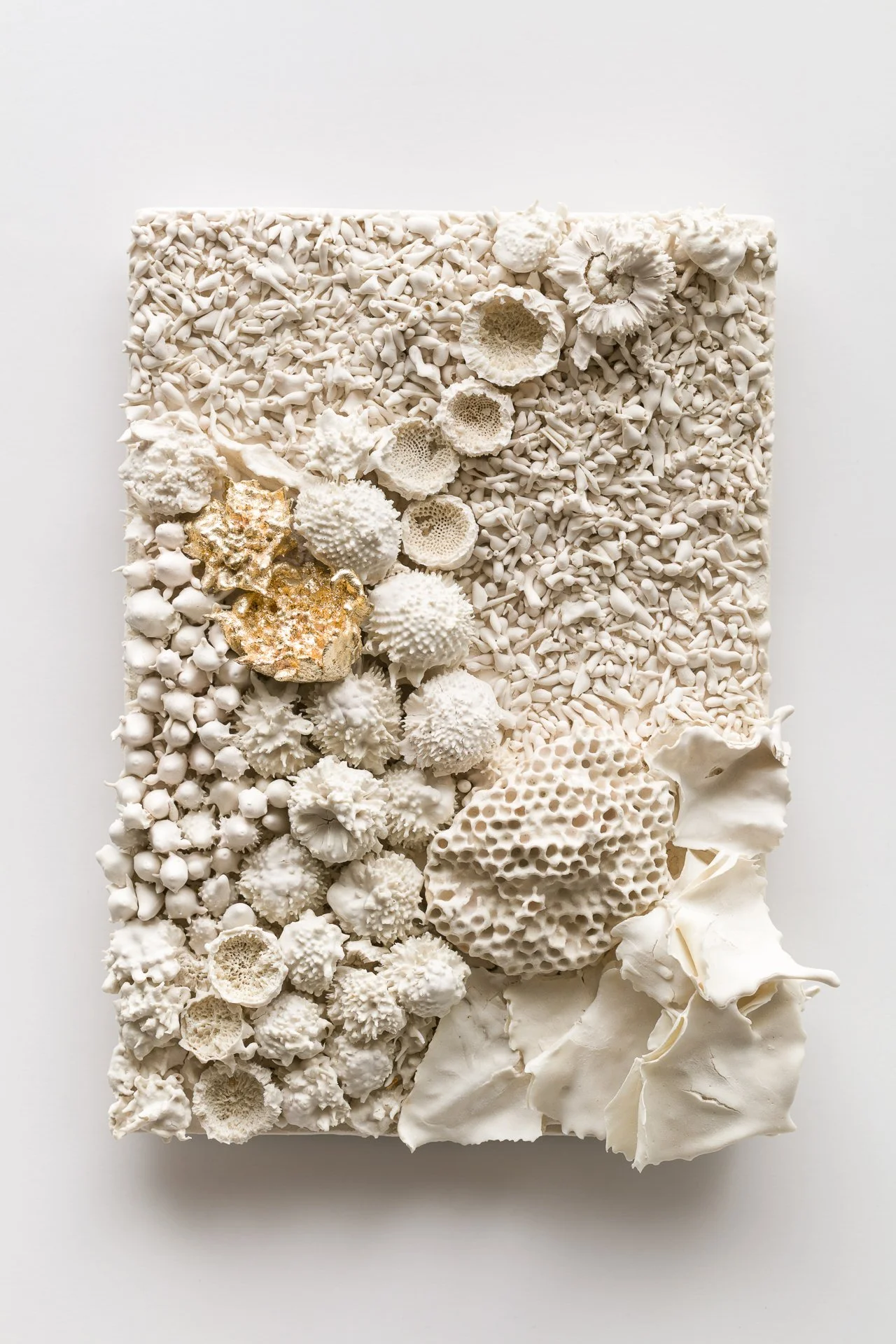 Rectangular white abstract art piece decorated with white coral and shell-like textures and shapes.