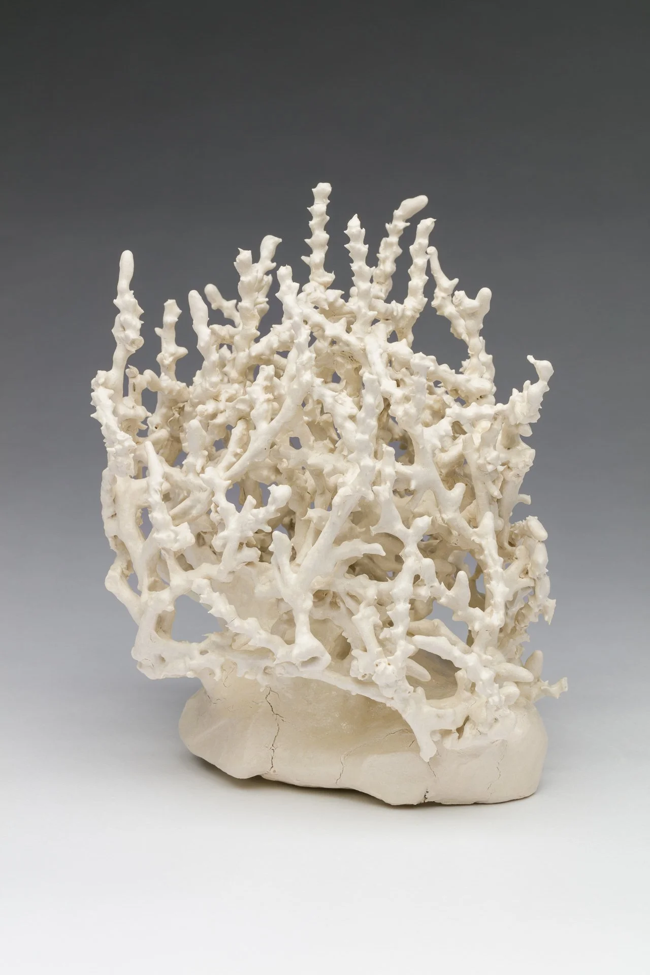Tumbleweed Coral
12 x 9 x 7 in