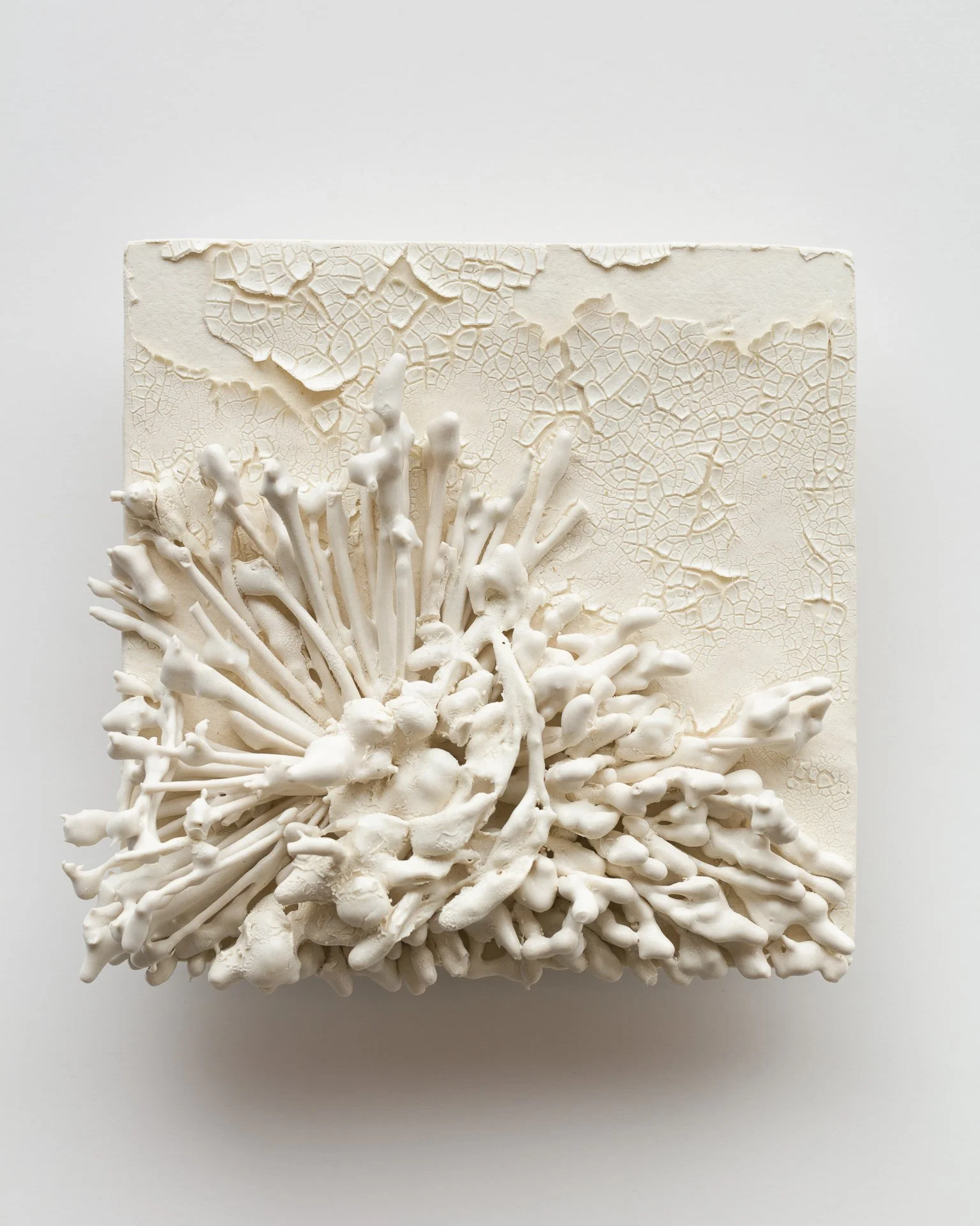 White textured sculpture with coral-like structure on a square base, featuring a cracked, dry pattern.