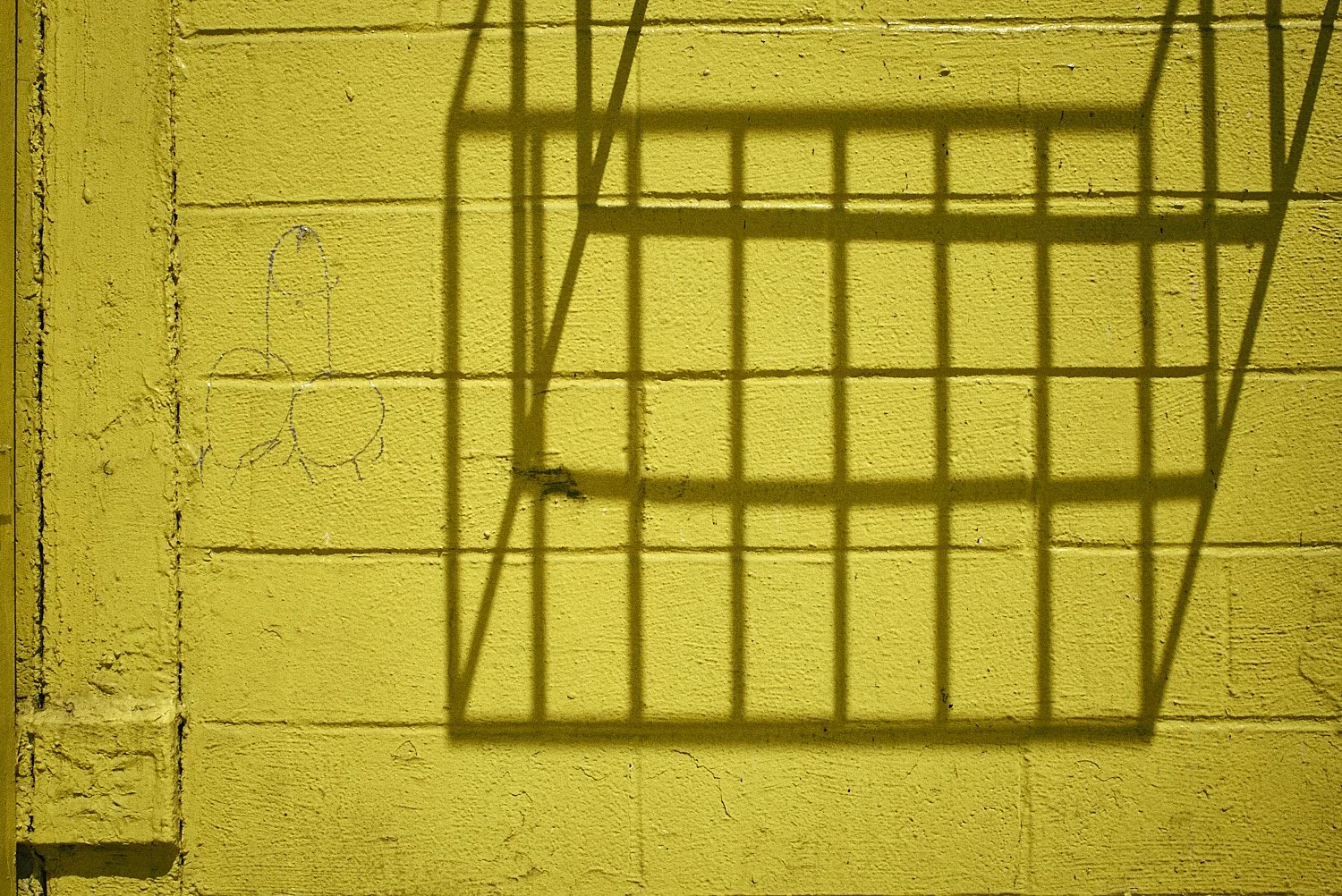 202504_Leica_roll_28_frame_05_squarespace.jpg