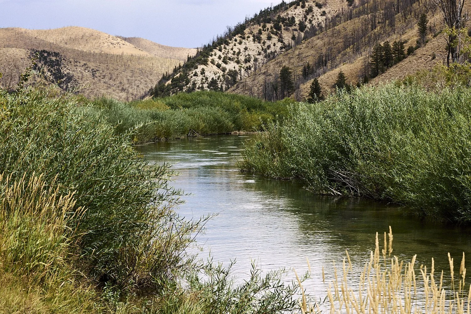2508_utah_day_2_leica_225_squarespace.jpg