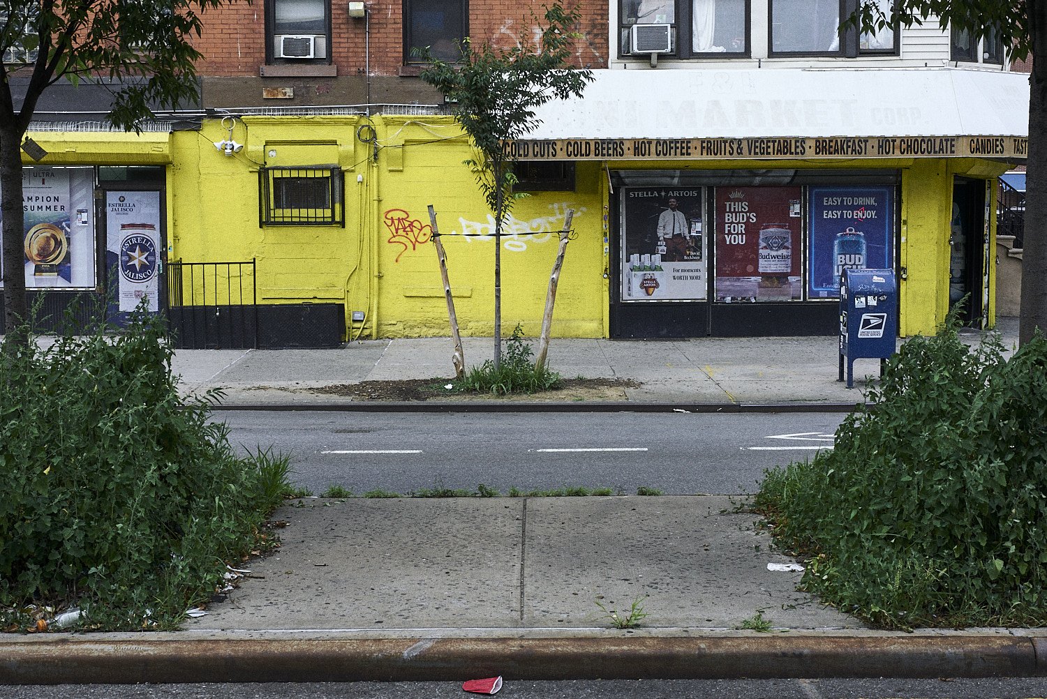Summer_Project_Week_5_Roll_41_Frame_11_squarespace.jpg