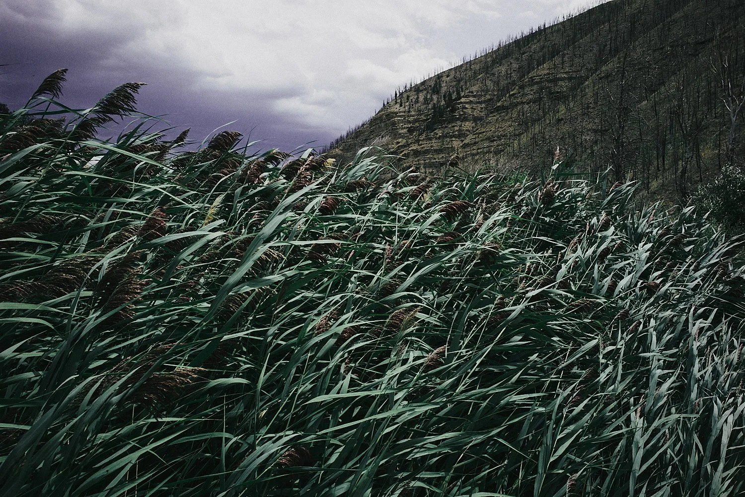 2508_utah_day_2_leica_137_squarespace.jpg