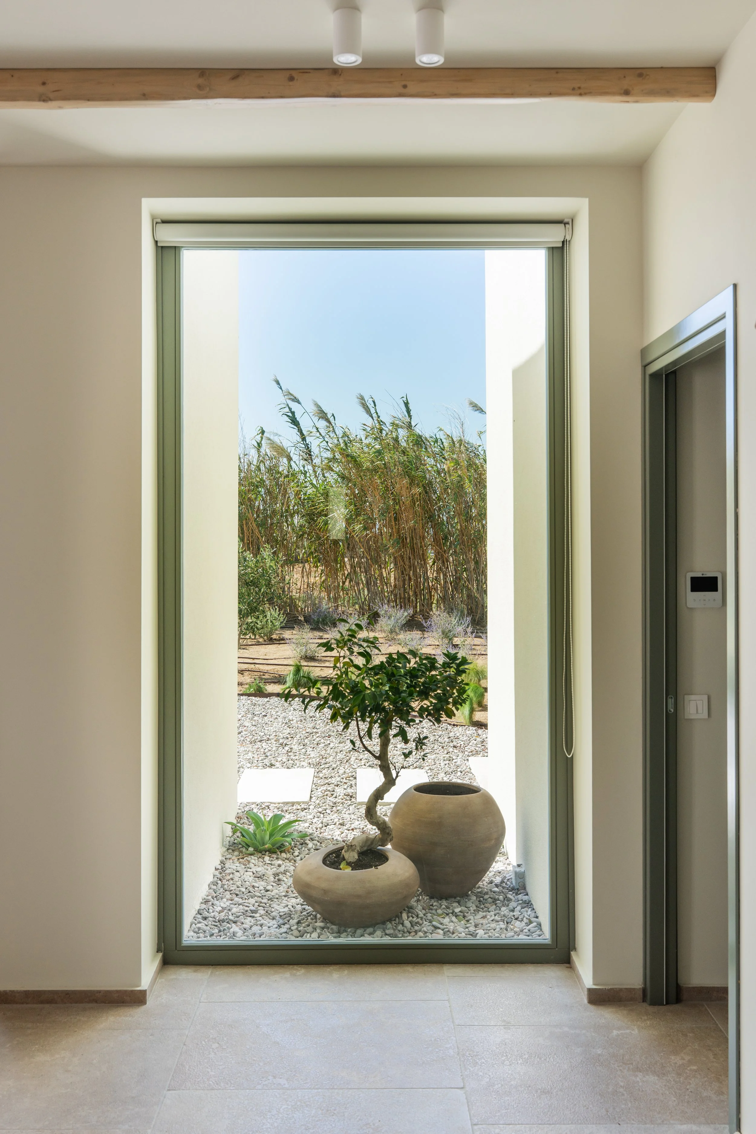 Fikies 326.jpg