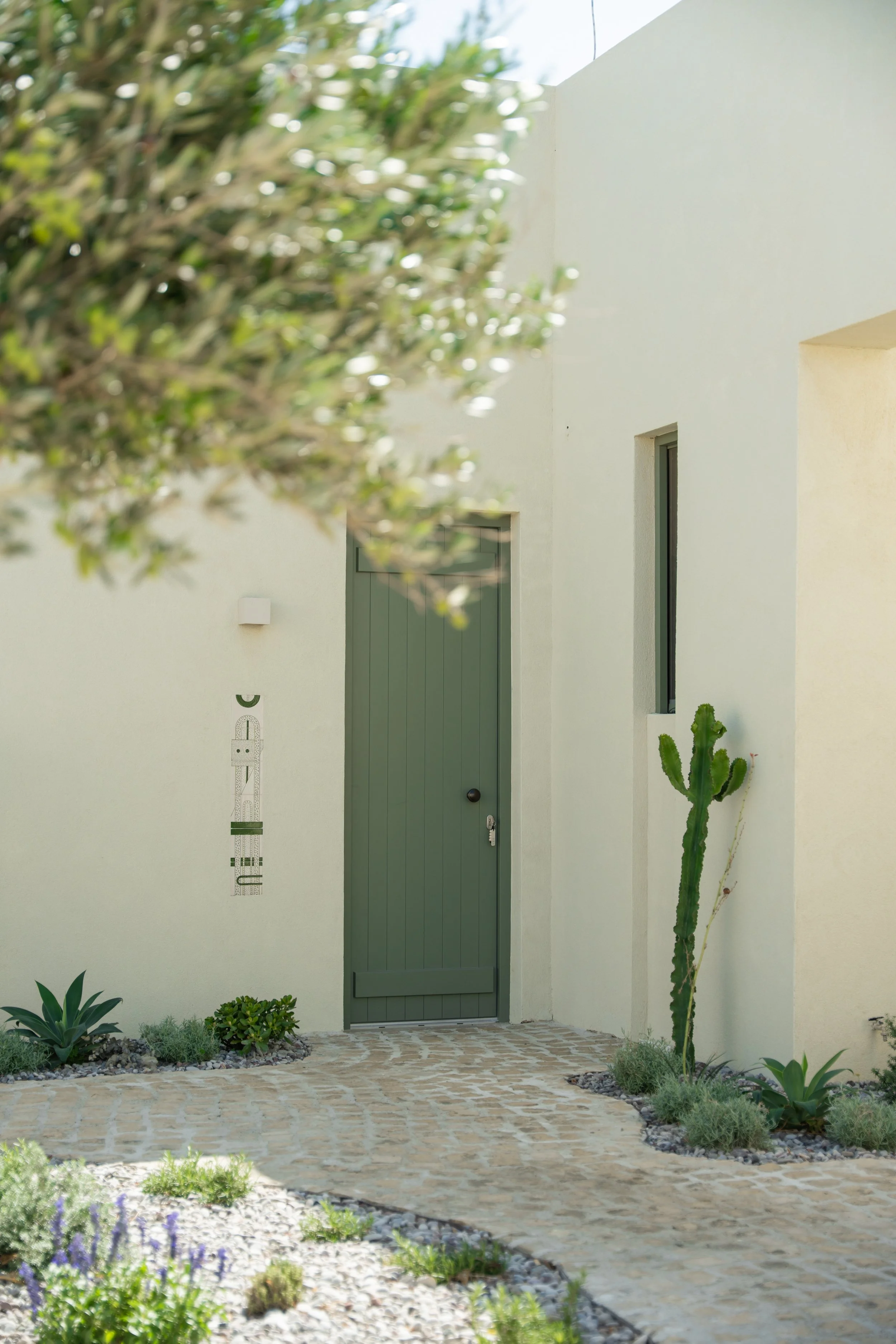 Fikies 346.jpg